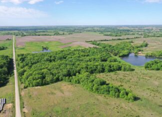140 Acres m/l with CRP Income, Lake, and Prime Hunting