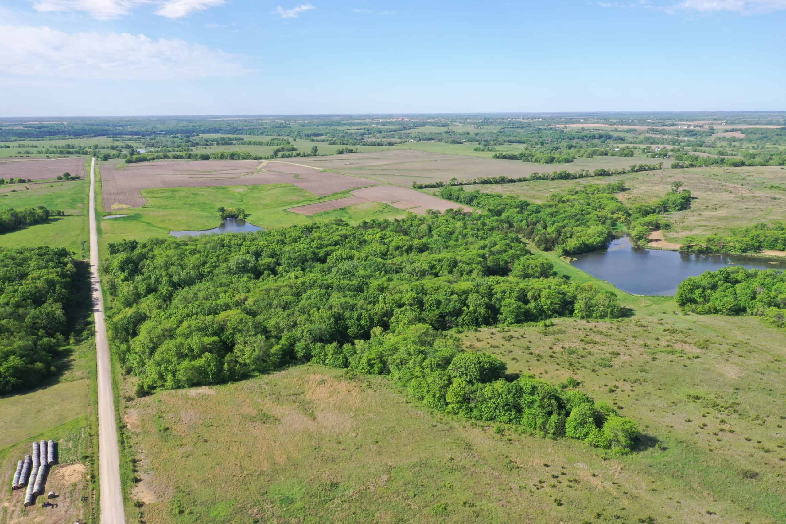 140 Acres m/l with CRP Income, Lake, and Prime Hunting