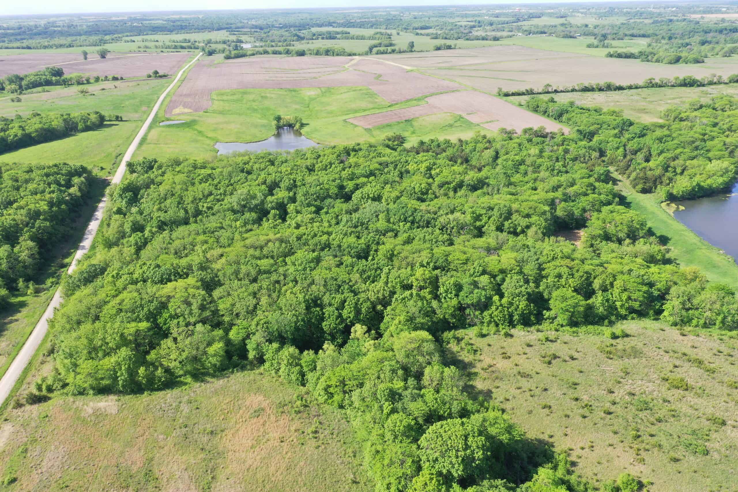 140 Acres m/l with CRP Income, Lake, and Prime Hunting