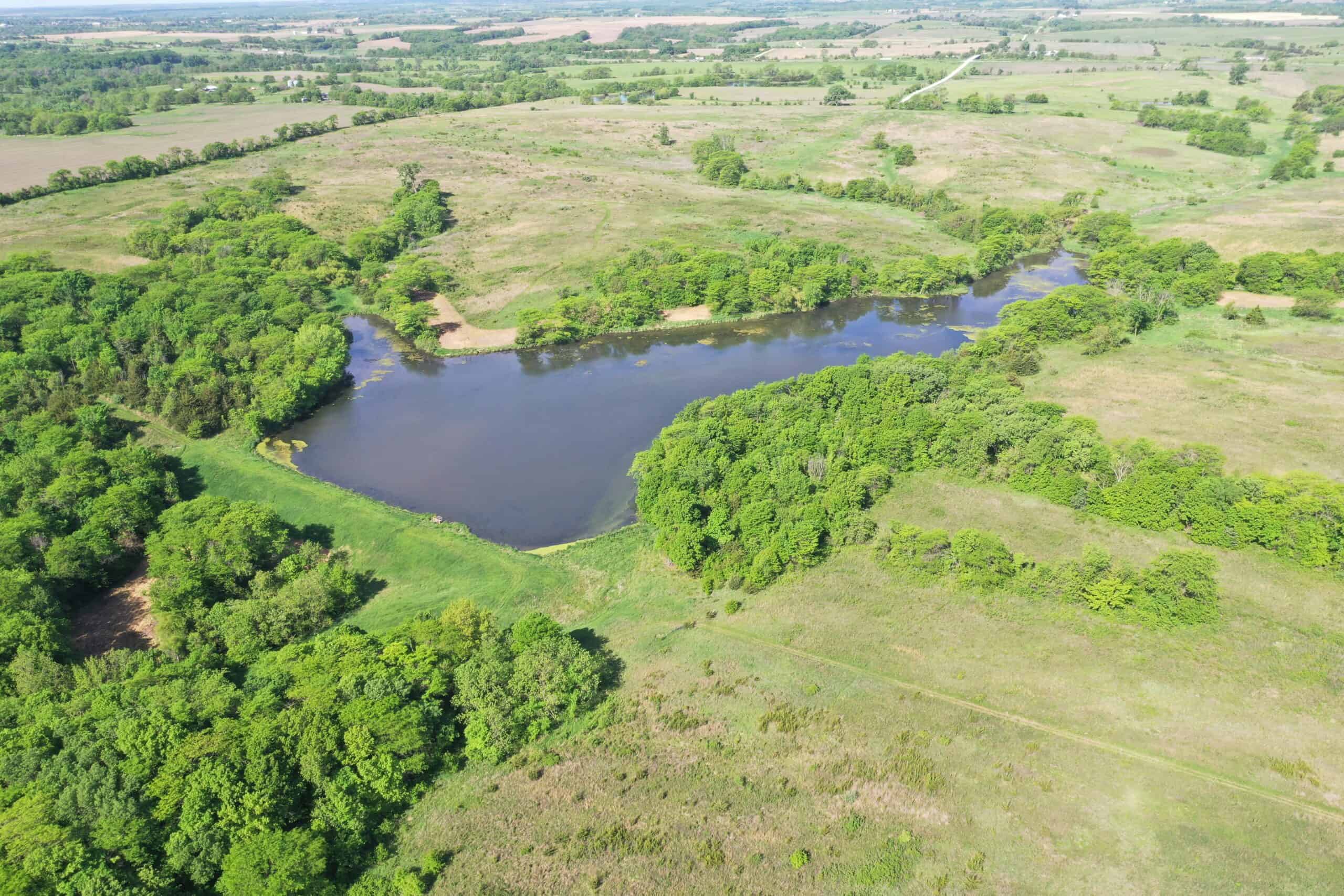140 Acres m/l with CRP Income, Lake, and Prime Hunting