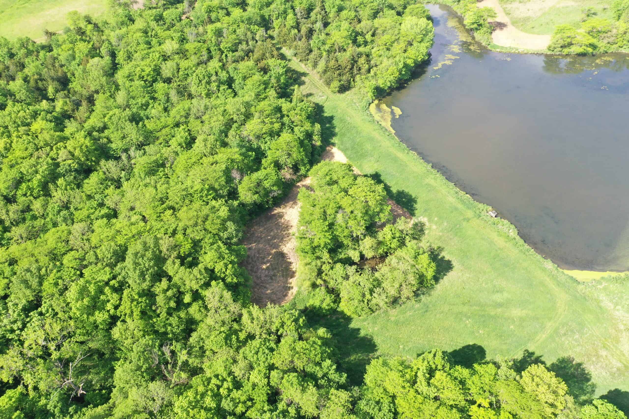 140 Acres m/l with CRP Income, Lake, and Prime Hunting