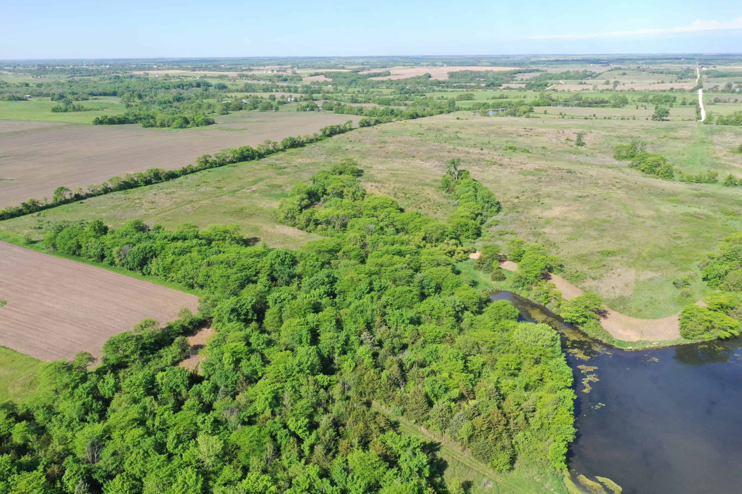 140 Acres m/l with CRP Income, Lake, and Prime Hunting