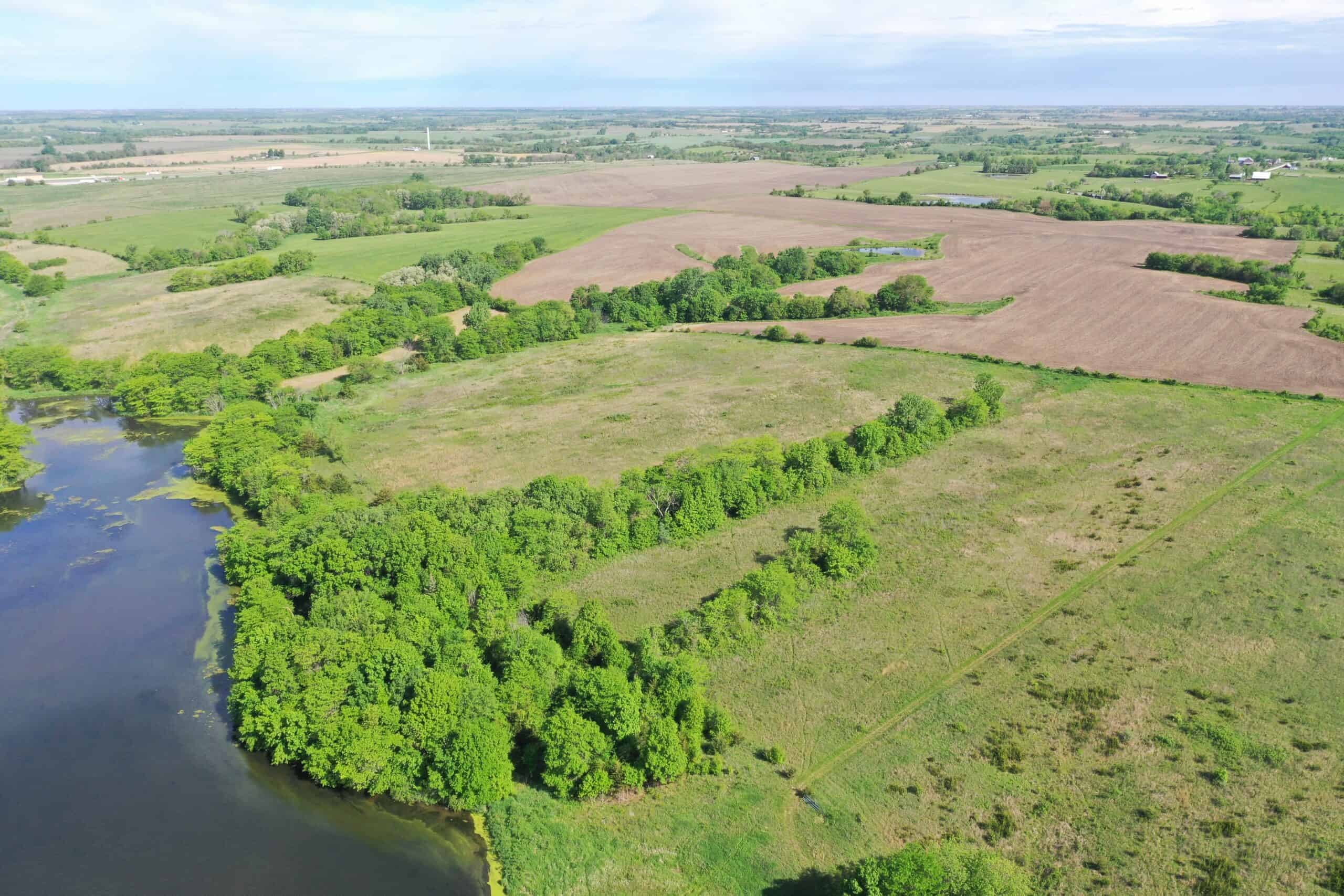 140 Acres m/l with CRP Income, Lake, and Prime Hunting