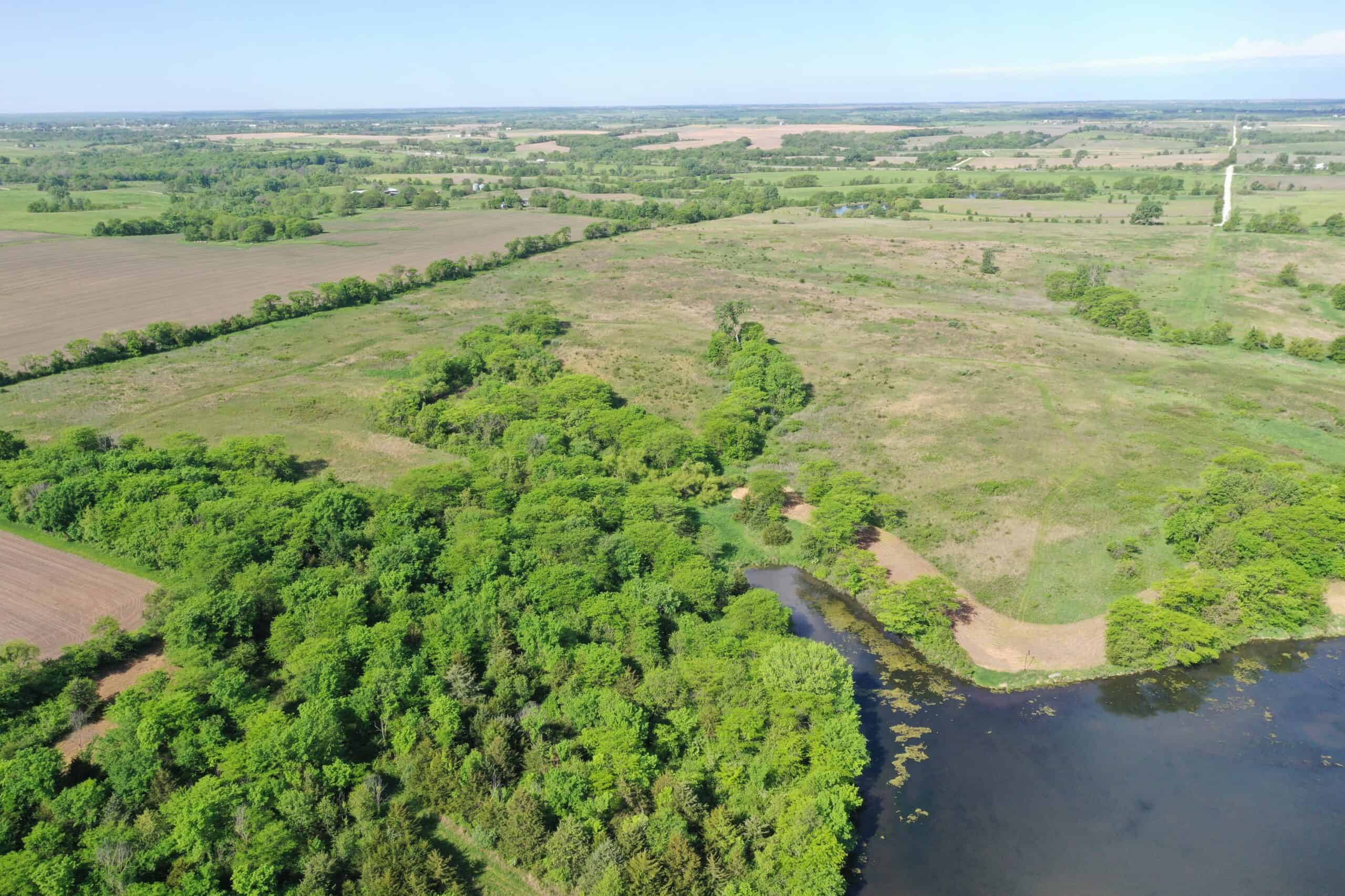 140 Acres m/l with CRP Income, Lake, and Prime Hunting