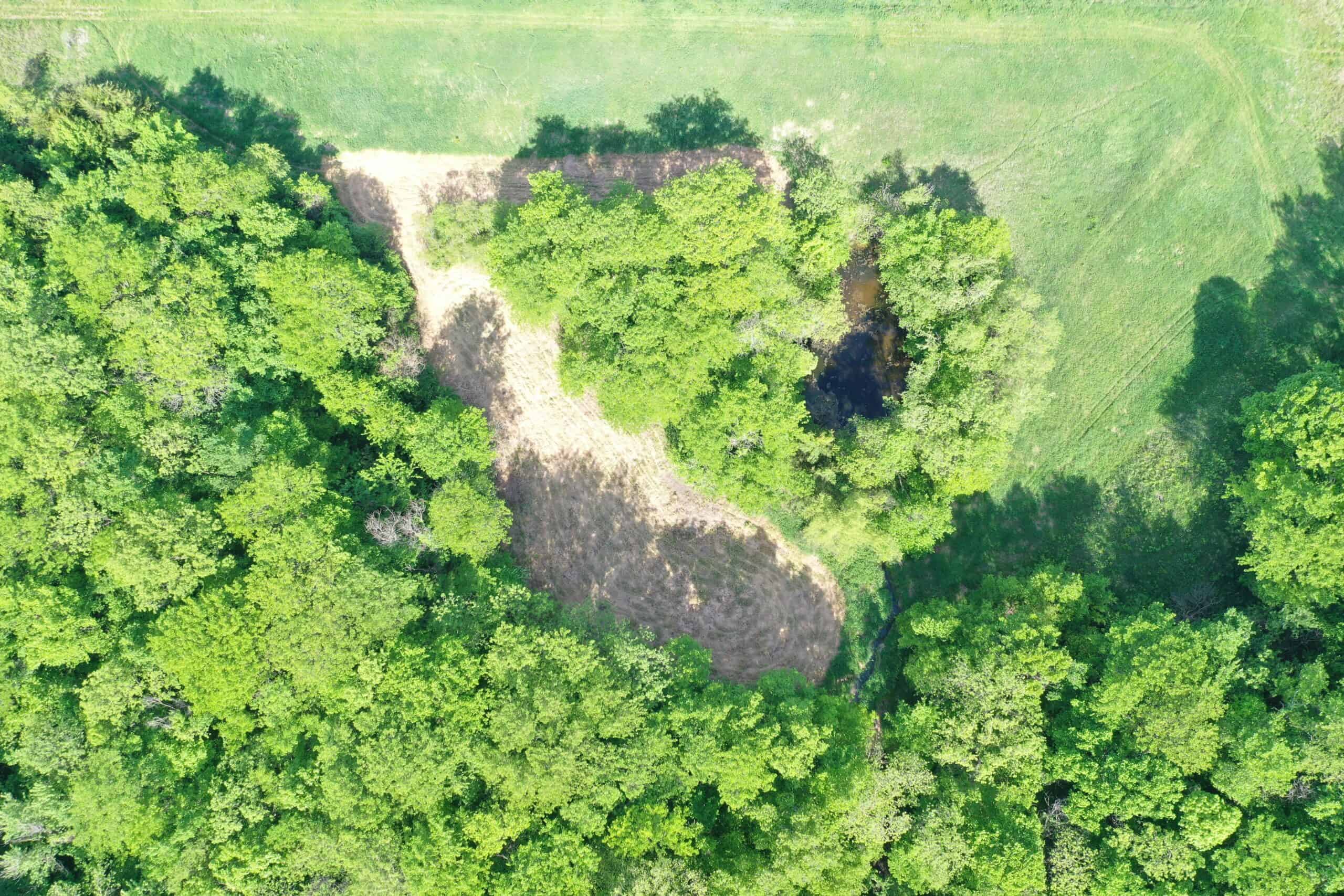 140 Acres m/l with CRP Income, Lake, and Prime Hunting