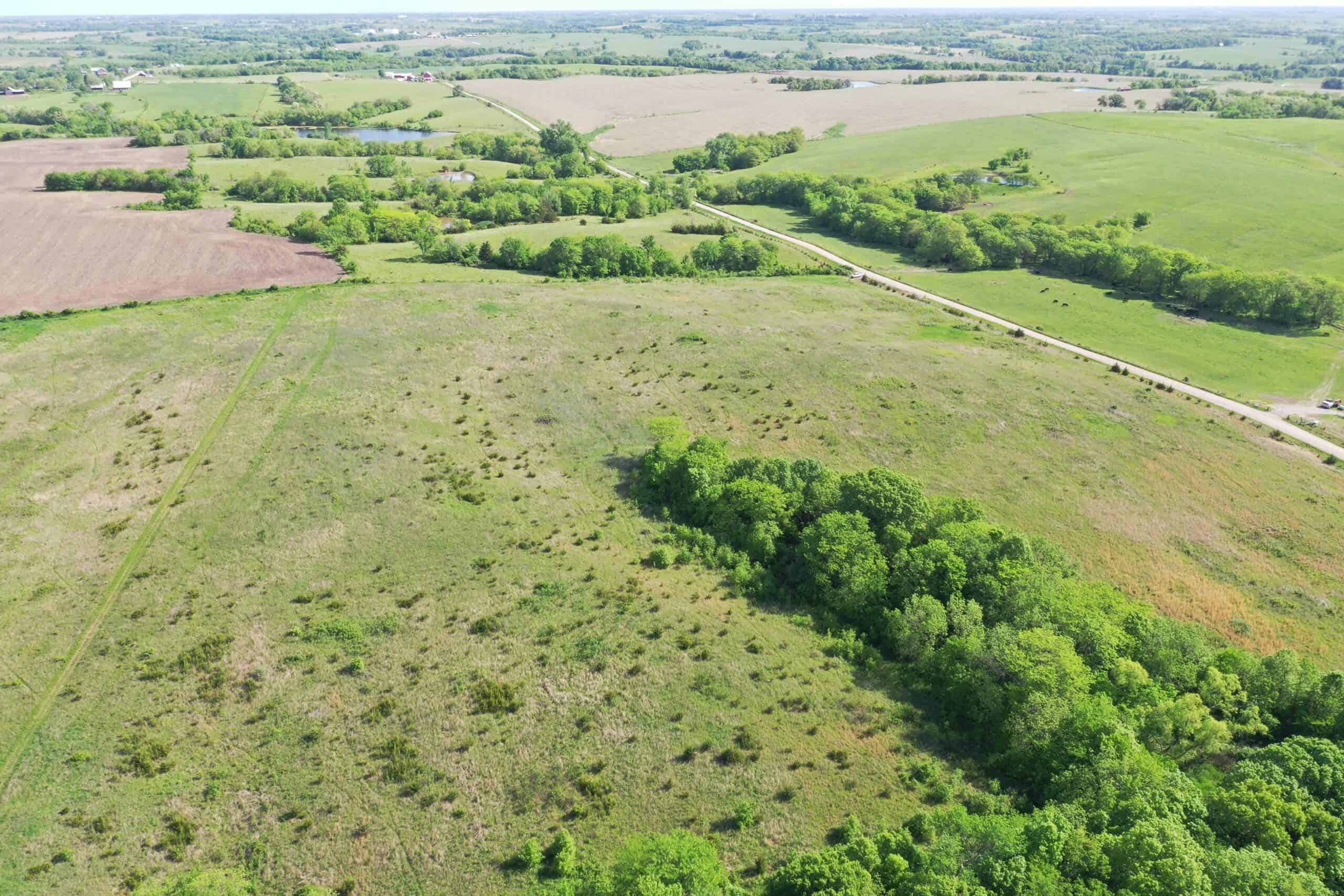 140 Acres m/l with CRP Income, Lake, and Prime Hunting