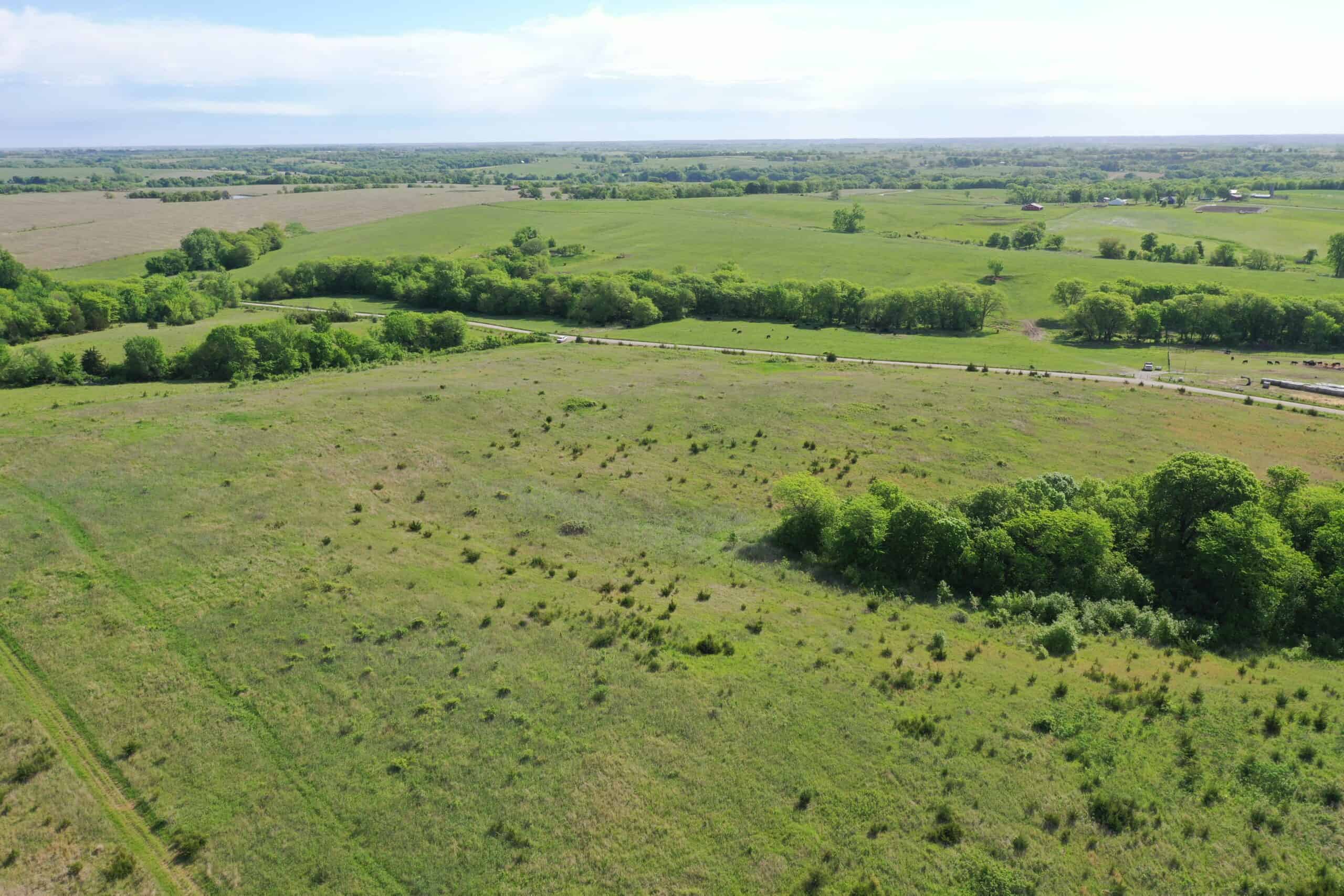 140 Acres m/l with CRP Income, Lake, and Prime Hunting