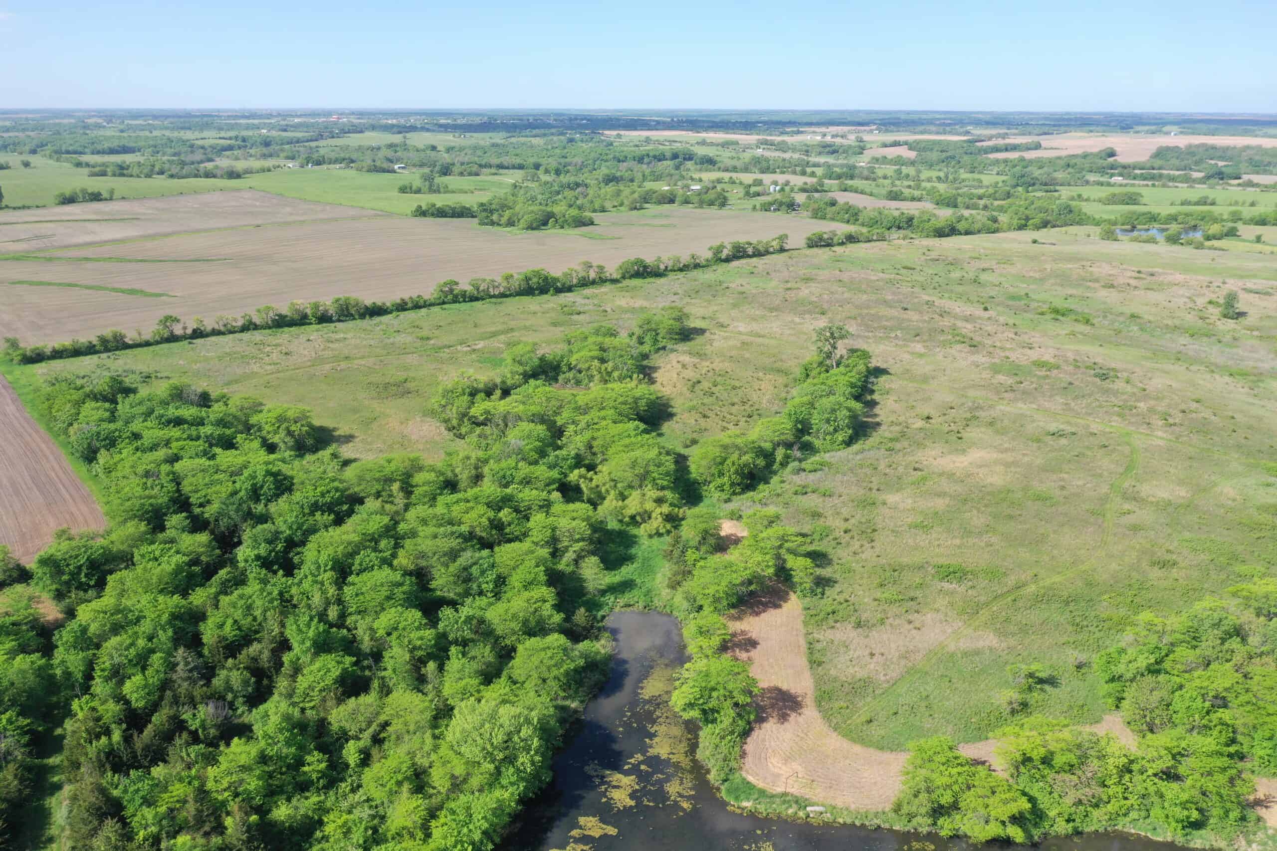 140 Acres m/l with CRP Income, Lake, and Prime Hunting