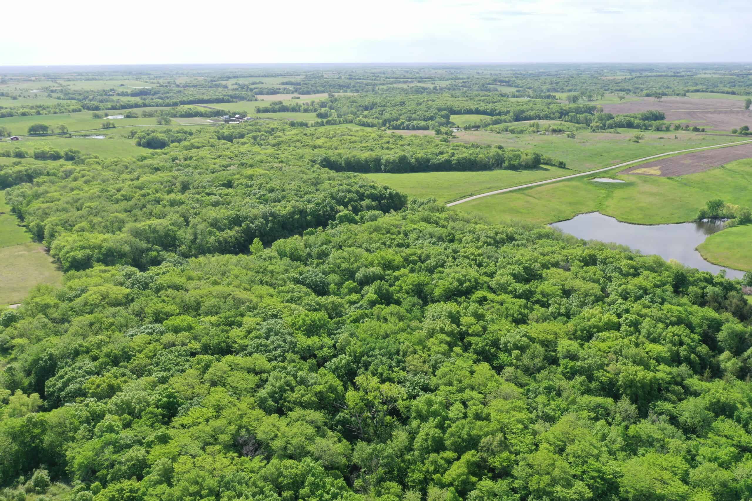 140 Acres m/l with CRP Income, Lake, and Prime Hunting