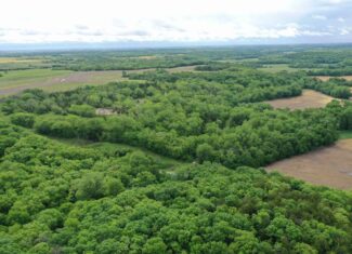40± Acre Hunting Tract in Northwest Missouri