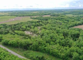 40± Acre Hunting Tract in Northwest Missouri