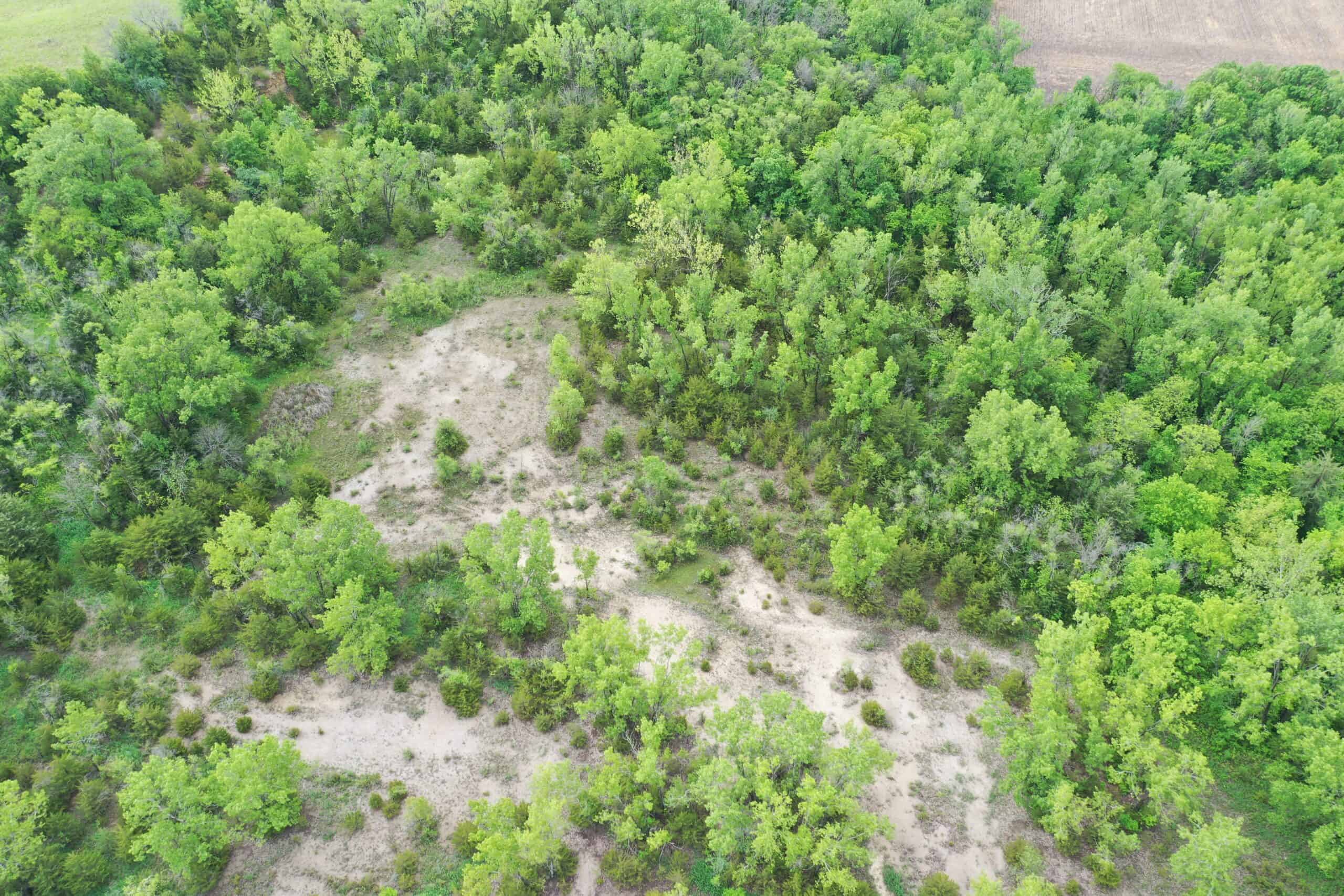40± Acre Hunting Tract in Northwest Missouri