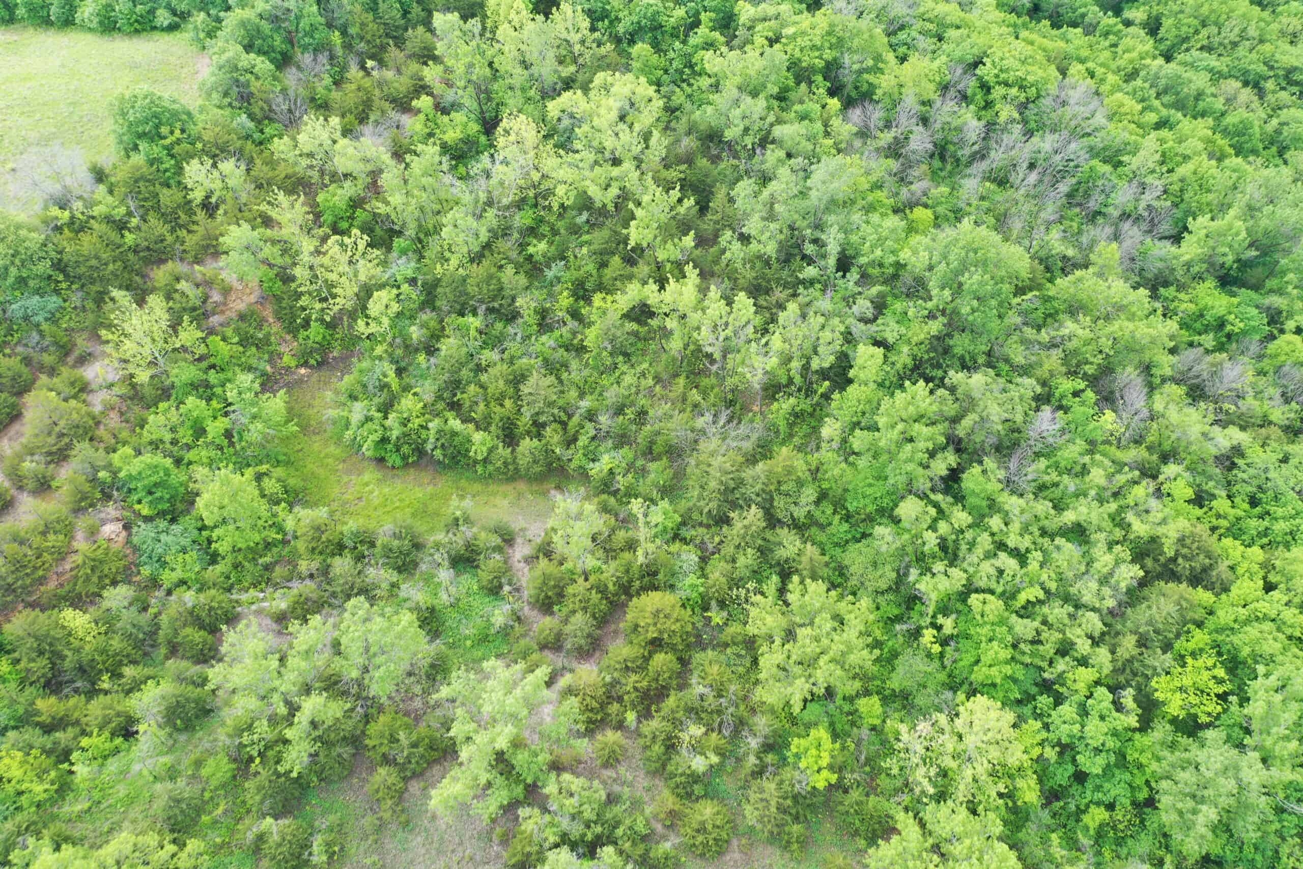40± Acre Hunting Tract in Northwest Missouri
