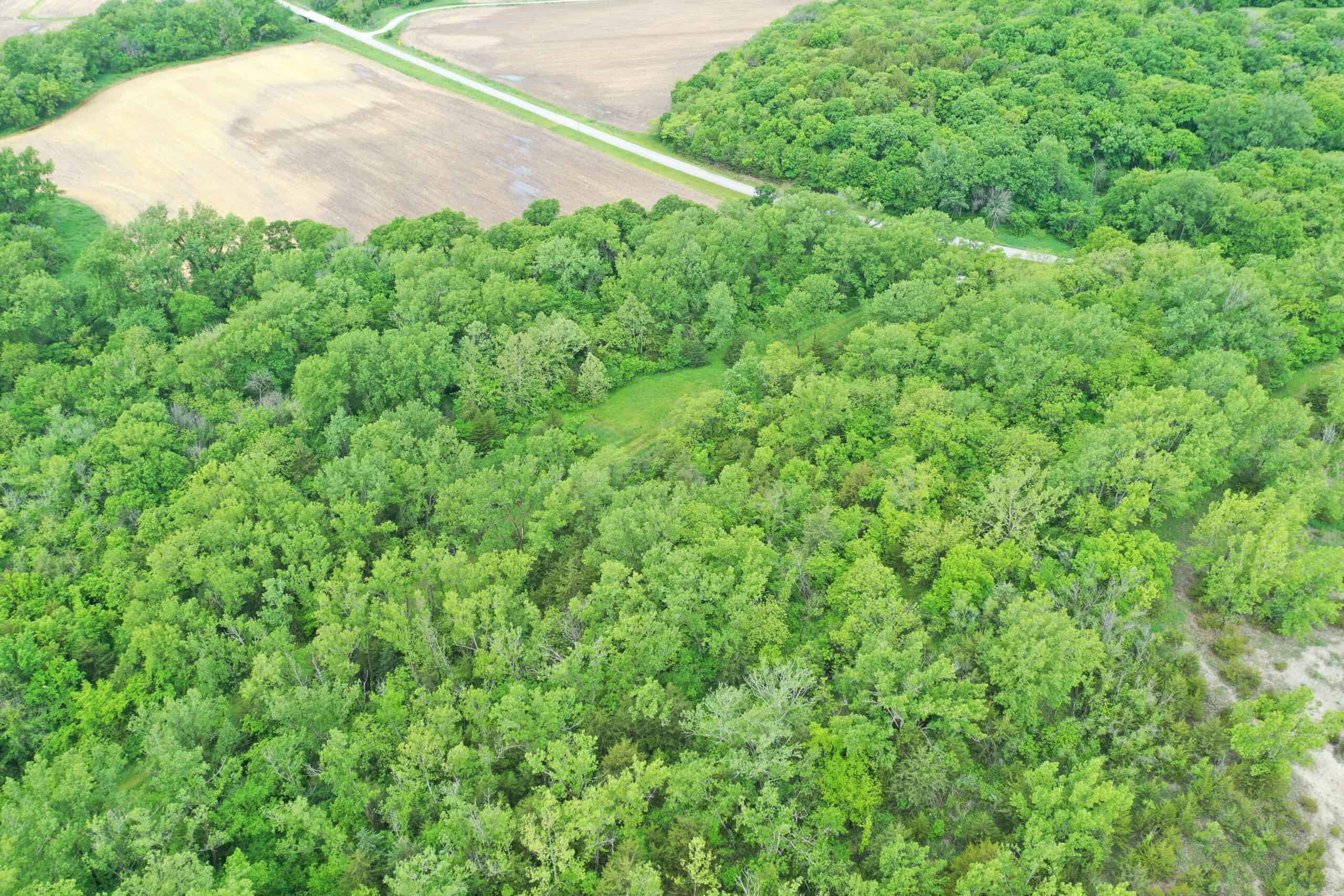 40± Acre Hunting Tract in Northwest Missouri