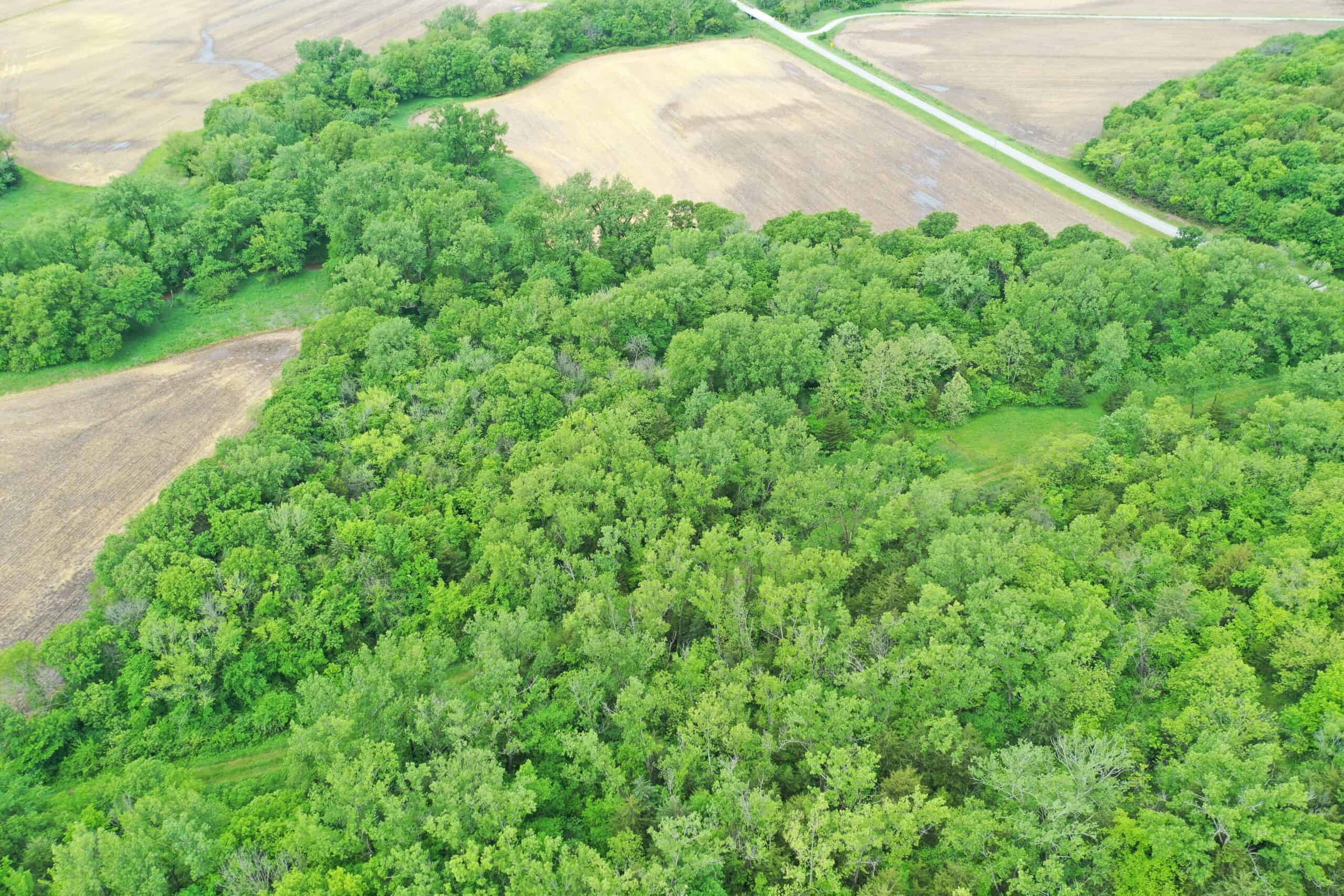 40± Acre Hunting Tract in Northwest Missouri
