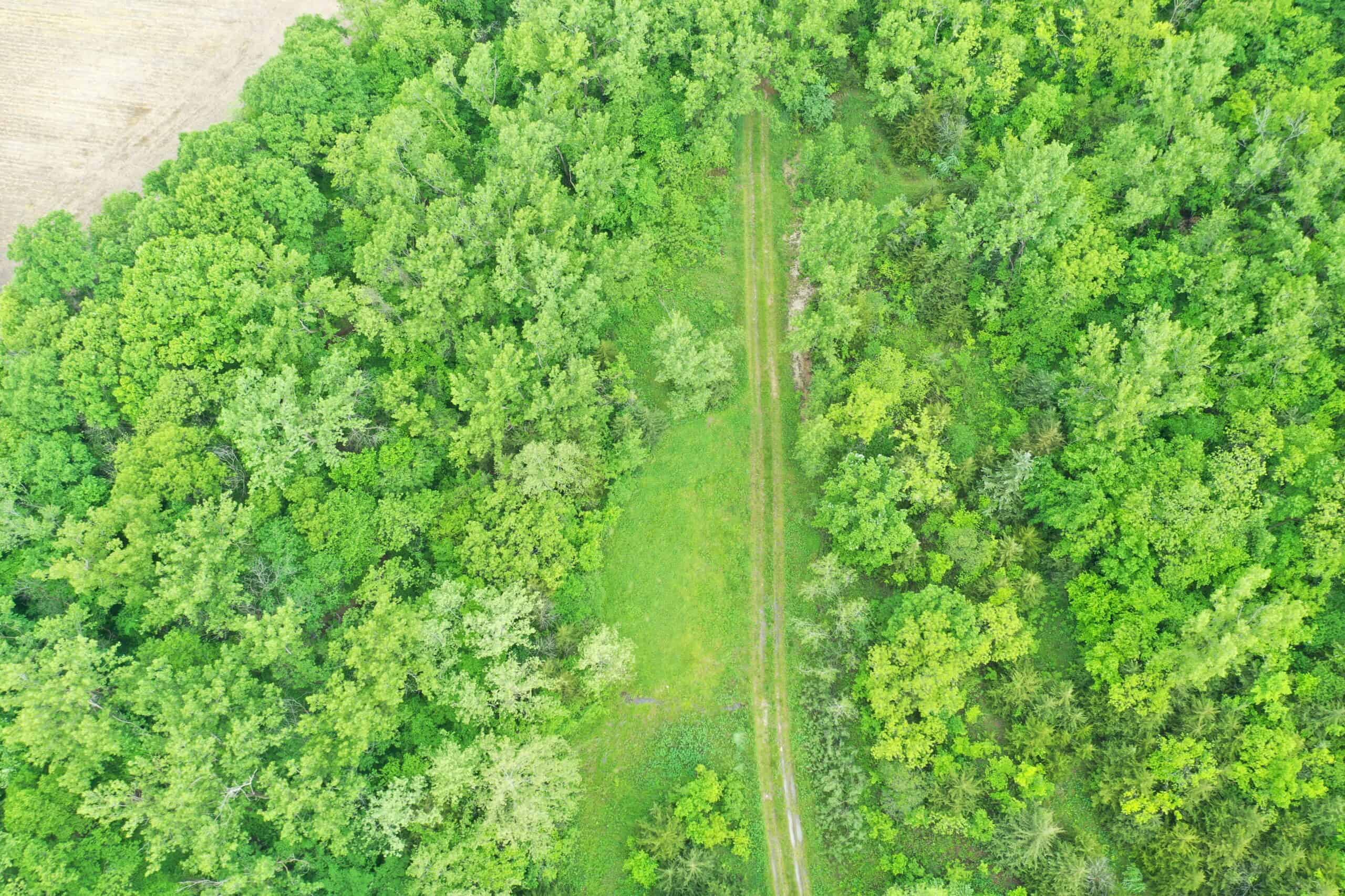 40± Acre Hunting Tract in Northwest Missouri