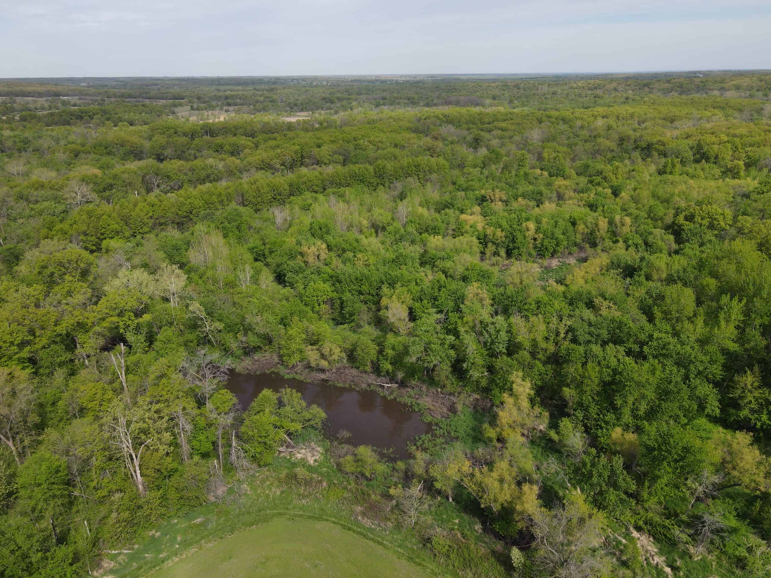 Charming Agricultural Haven in North West Schuyler County, MO