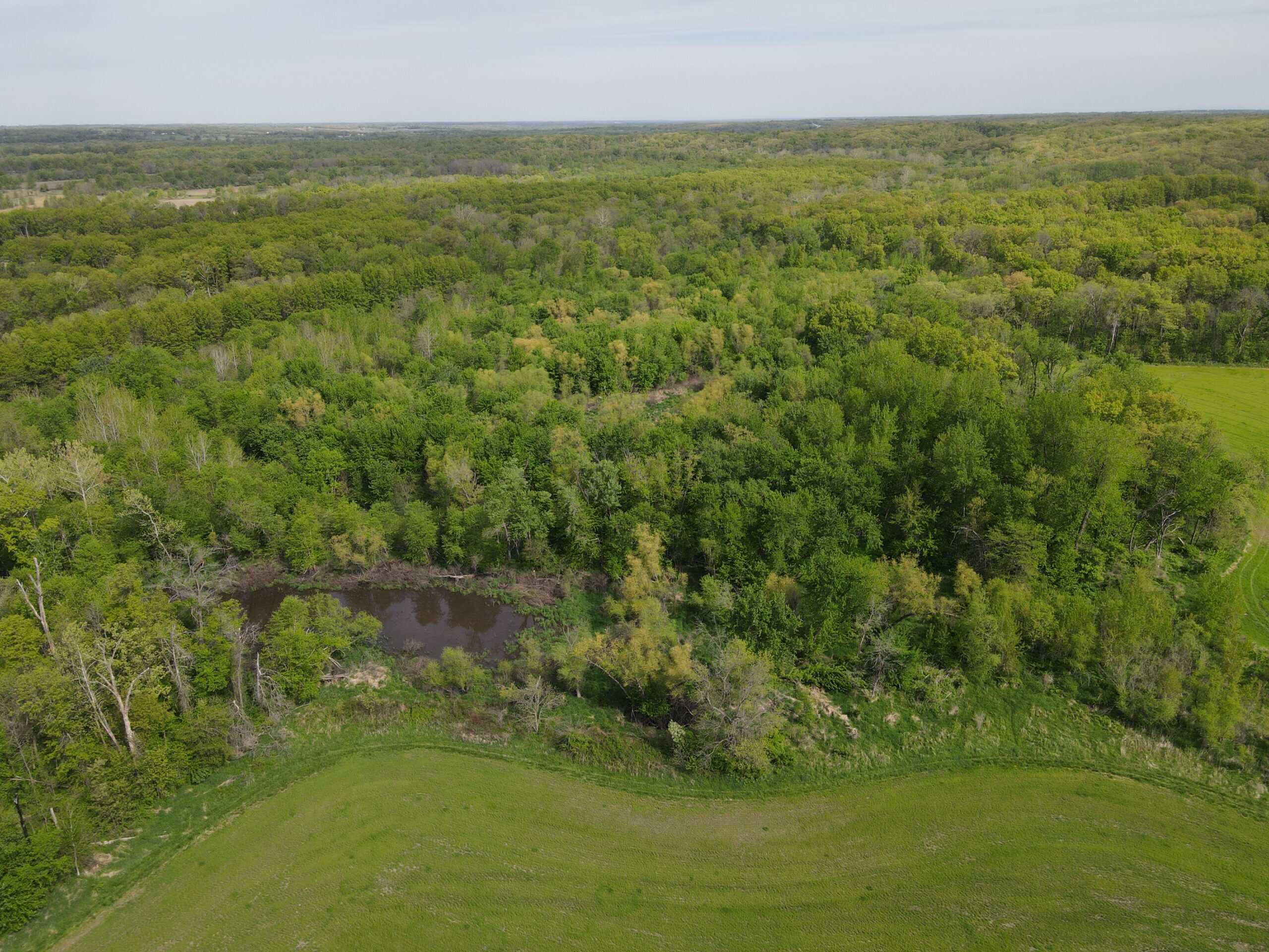 Charming Agricultural Haven in North West Schuyler County, MO