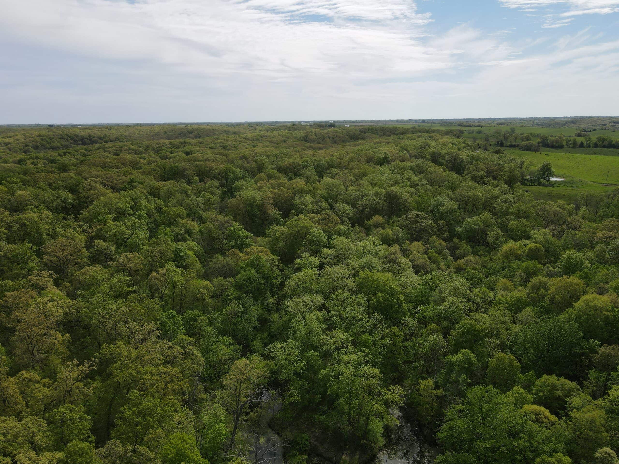Charming Agricultural Haven in North West Schuyler County, MO