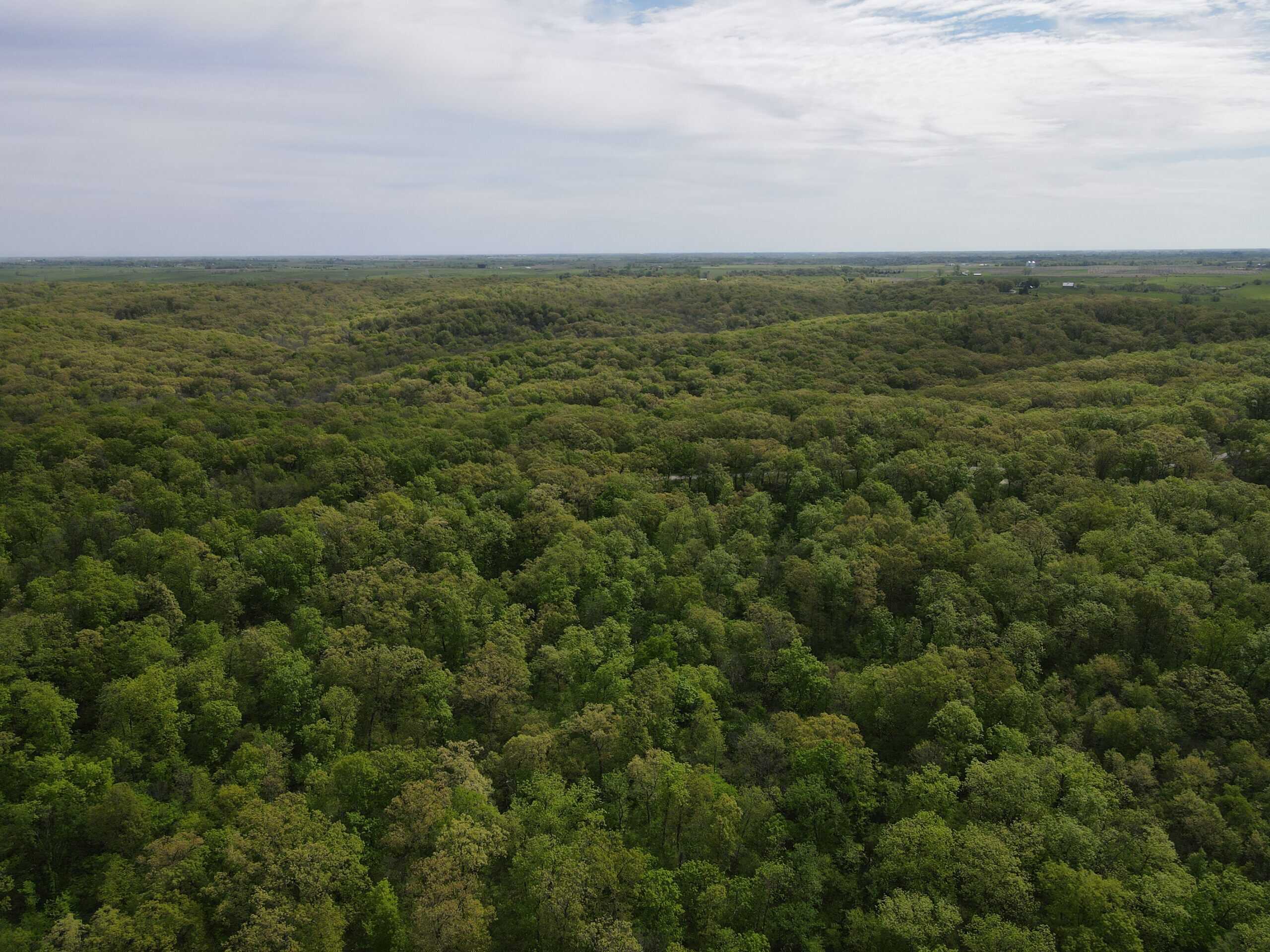 Charming Agricultural Haven in North West Schuyler County, MO