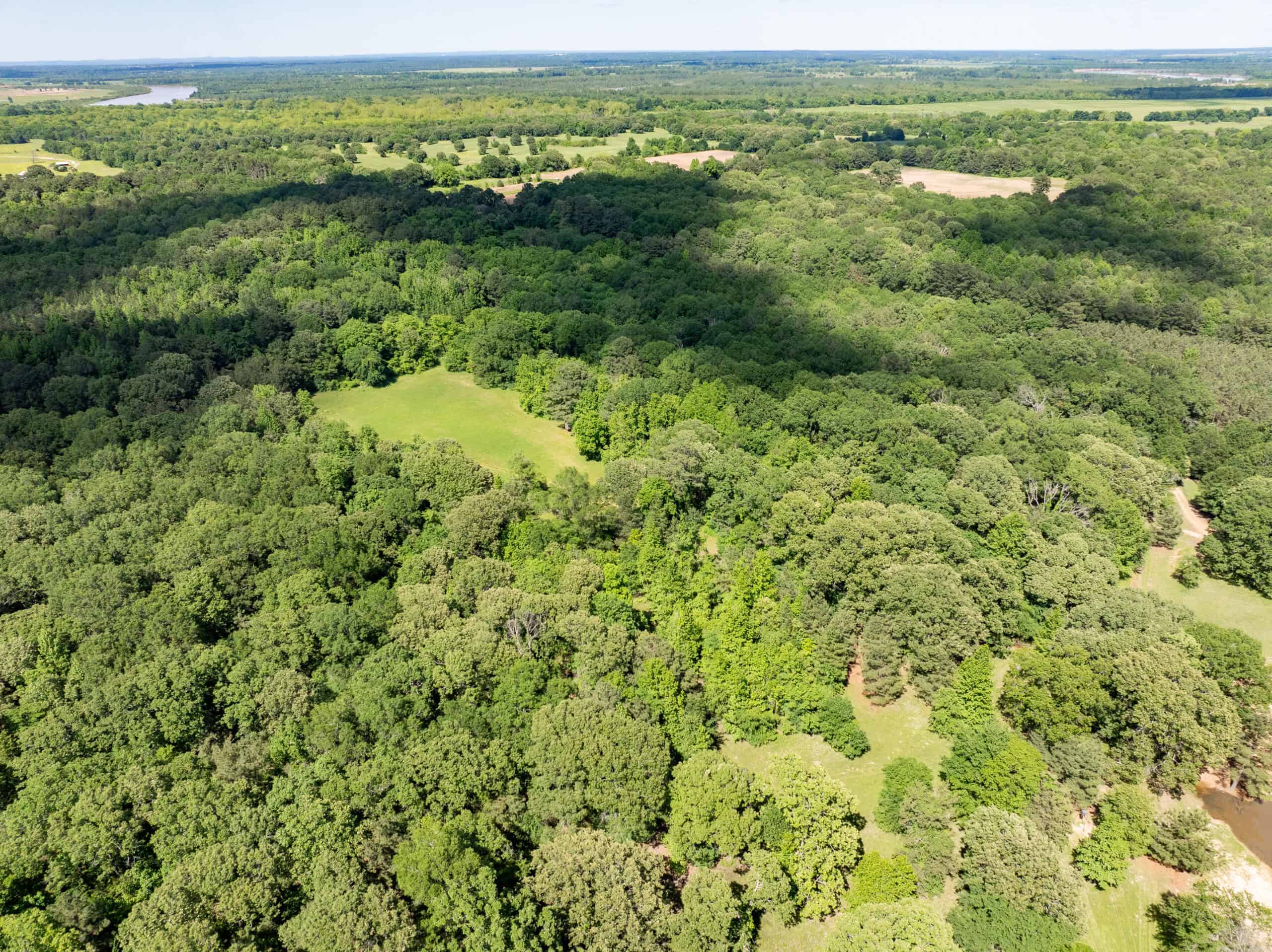 G4 Ranch – 235± Acres of Premier Hunting & Recreational Paradise in Red River County, Texas