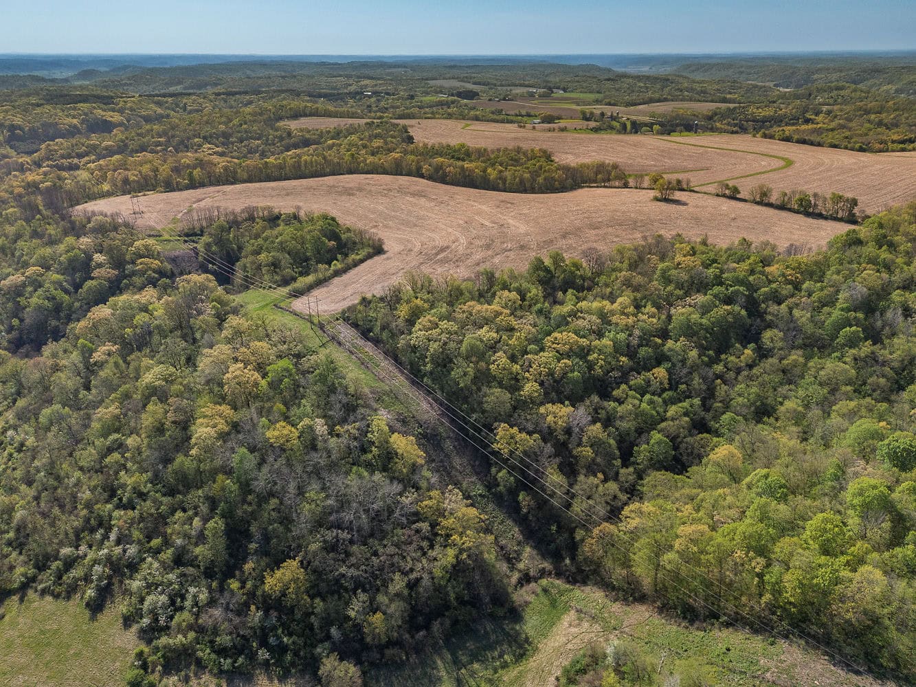 Trophy Whitetail & Wildlife Haven – 217 Acres | 18125 CTH I, Hillsboro, WI 54634
