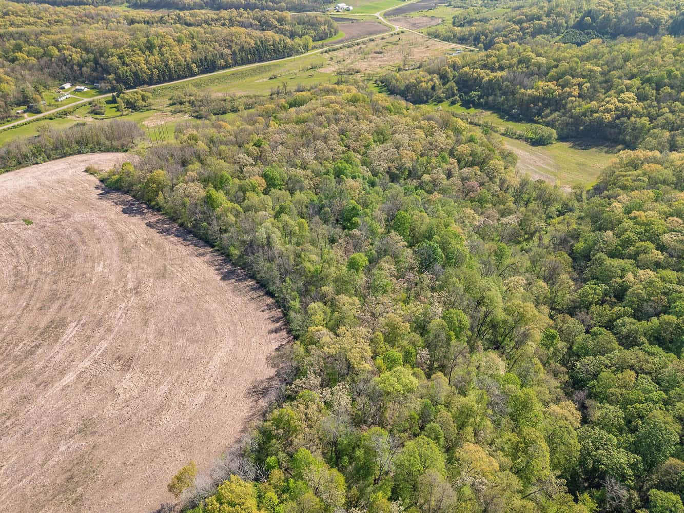 Trophy Whitetail & Wildlife Haven – 217 Acres | 18125 CTH I, Hillsboro, WI 54634