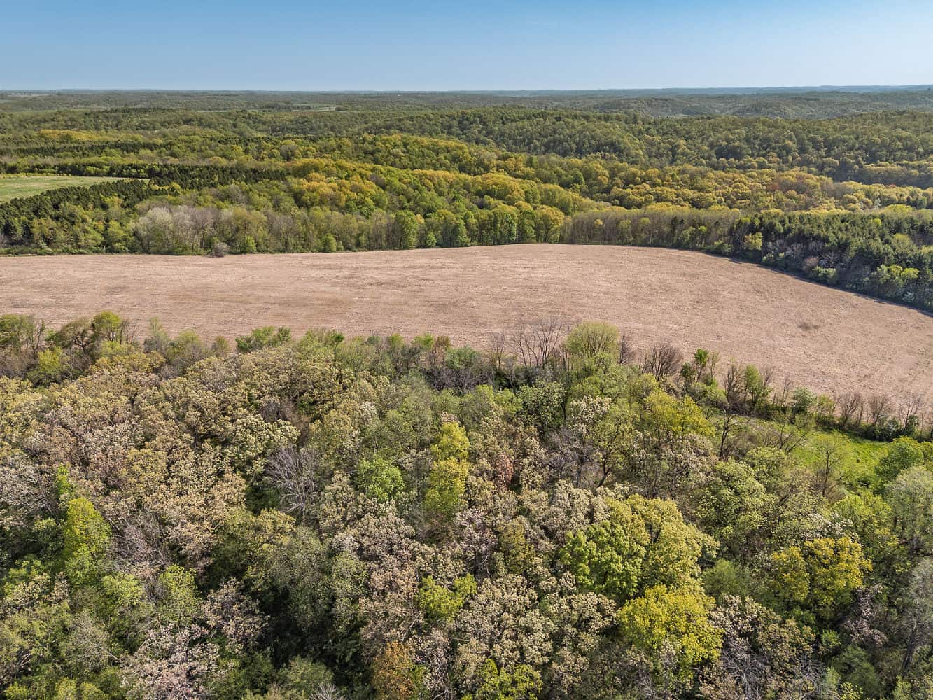 Trophy Whitetail & Wildlife Haven – 217 Acres | 18125 CTH I, Hillsboro, WI 54634