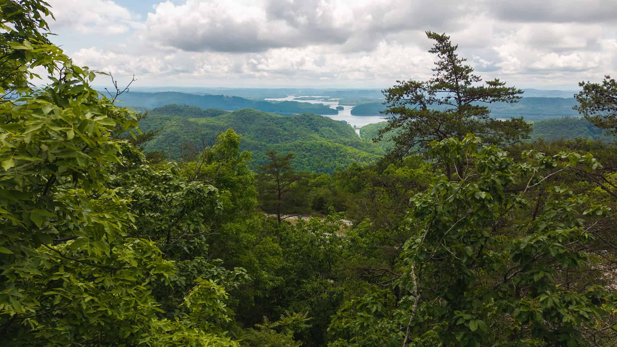 Above the Clouds: 24 Unrestricted Acres on Clinch Mountain with Views that Steal Your Breath Tennessee