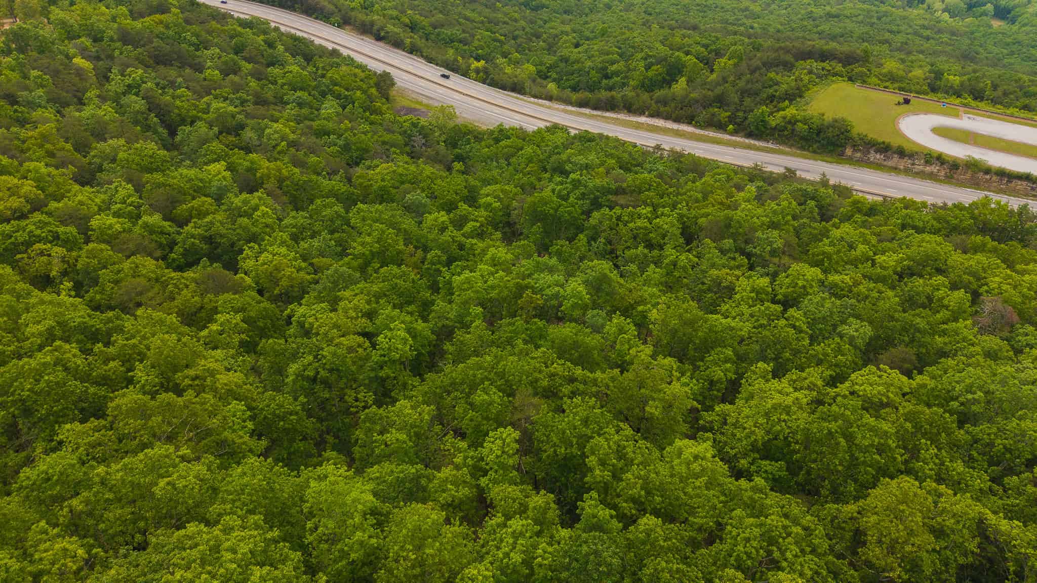 Above the Clouds: 24 Unrestricted Acres on Clinch Mountain with Views that Steal Your Breath Tennessee