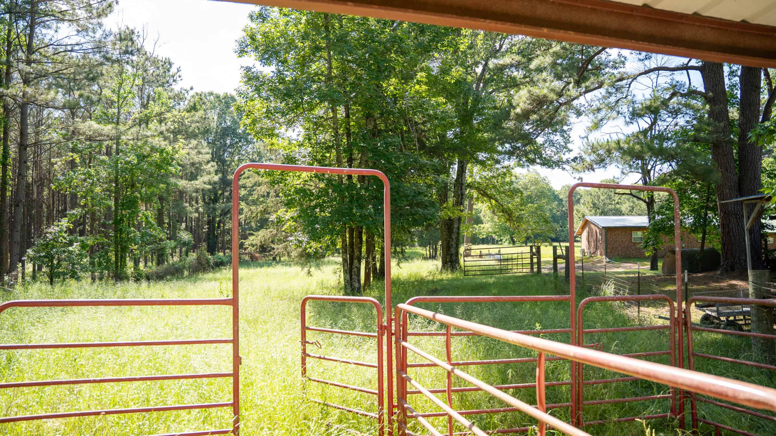 G4 Ranch – 235± Acres of Premier Hunting & Recreational Paradise in Red River County, Texas