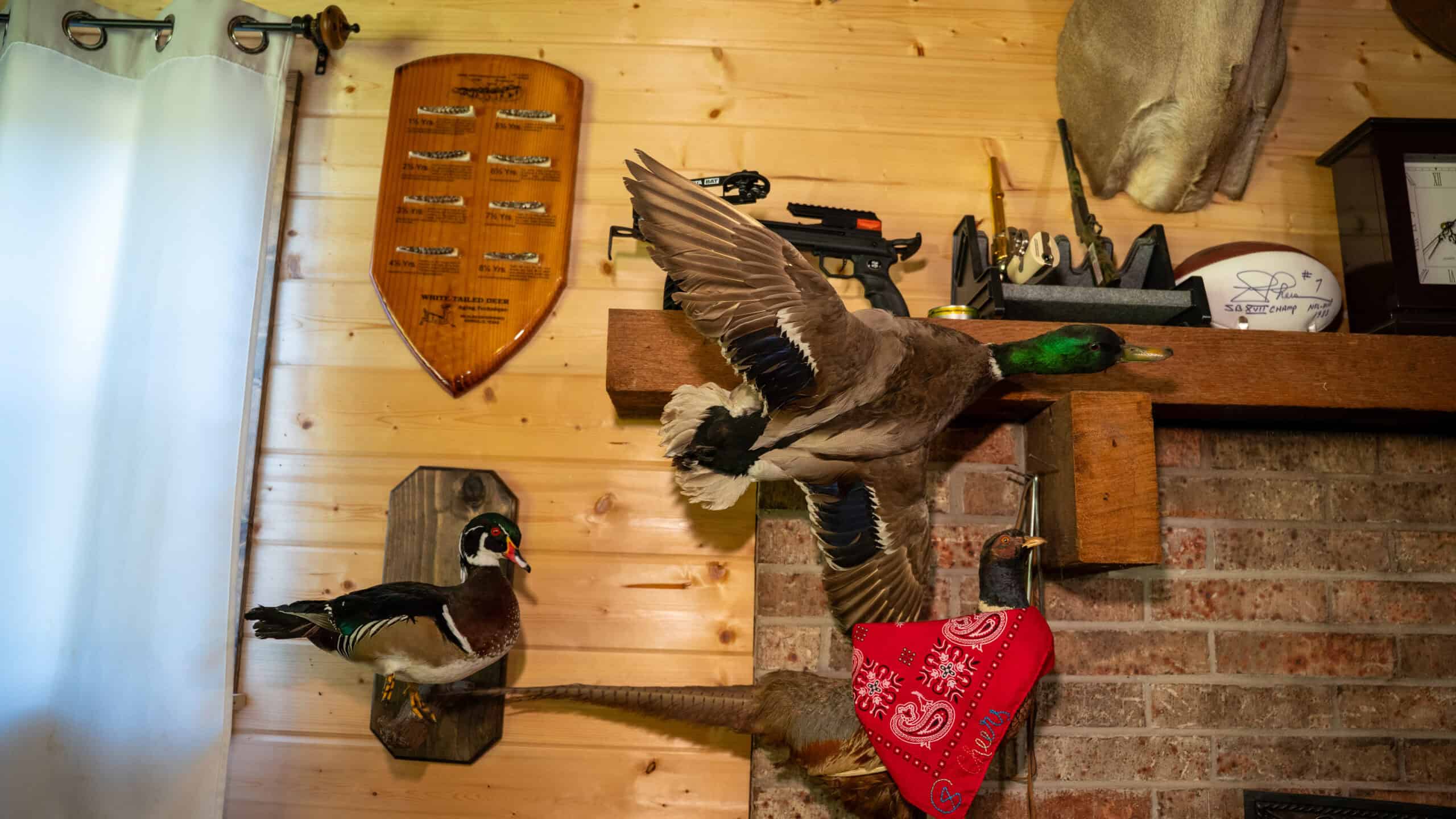 G4 Ranch – 235± Acres of Premier Hunting & Recreational Paradise in Red River County, Texas