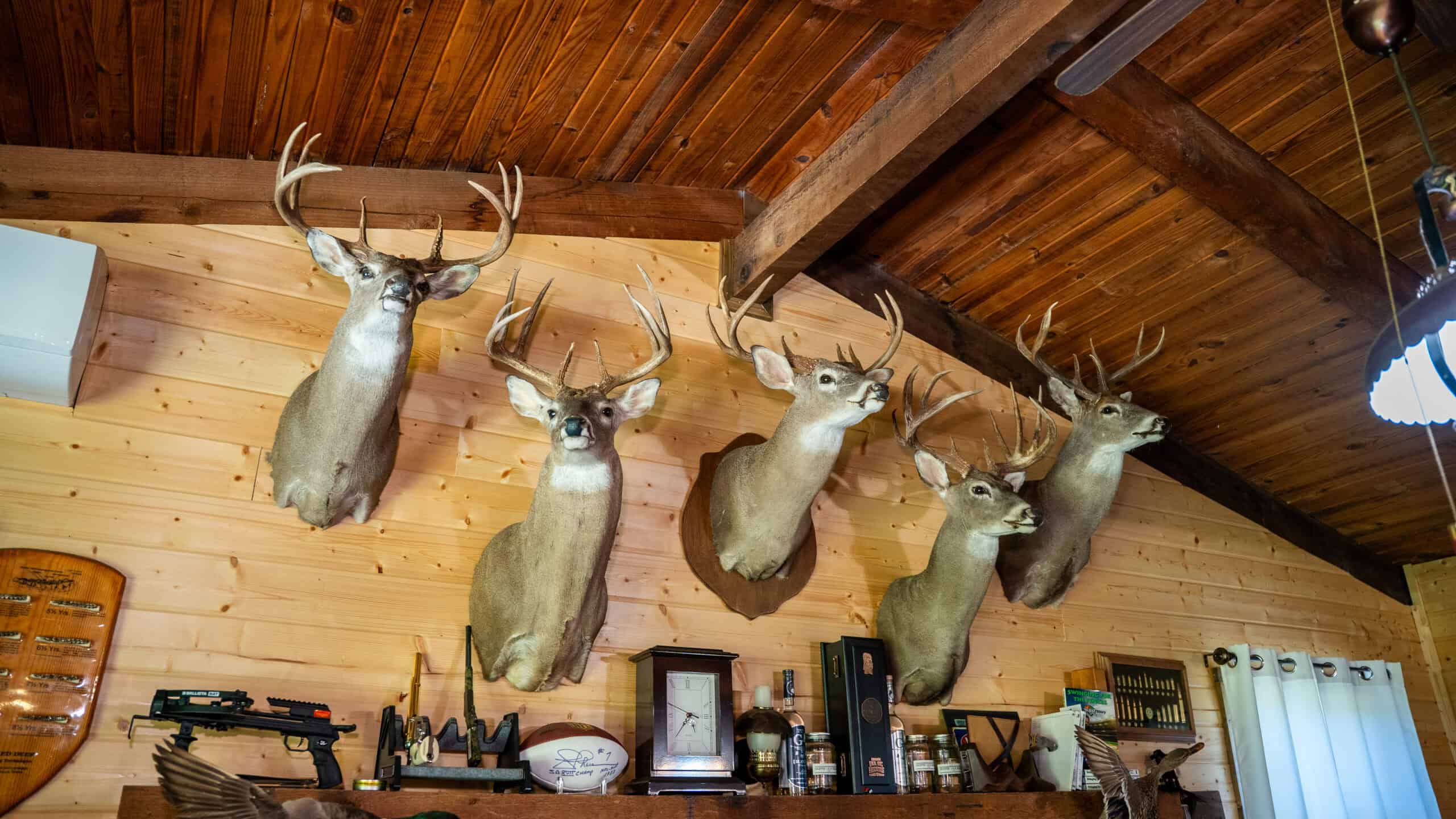 G4 Ranch – 235± Acres of Premier Hunting & Recreational Paradise in Red River County, Texas