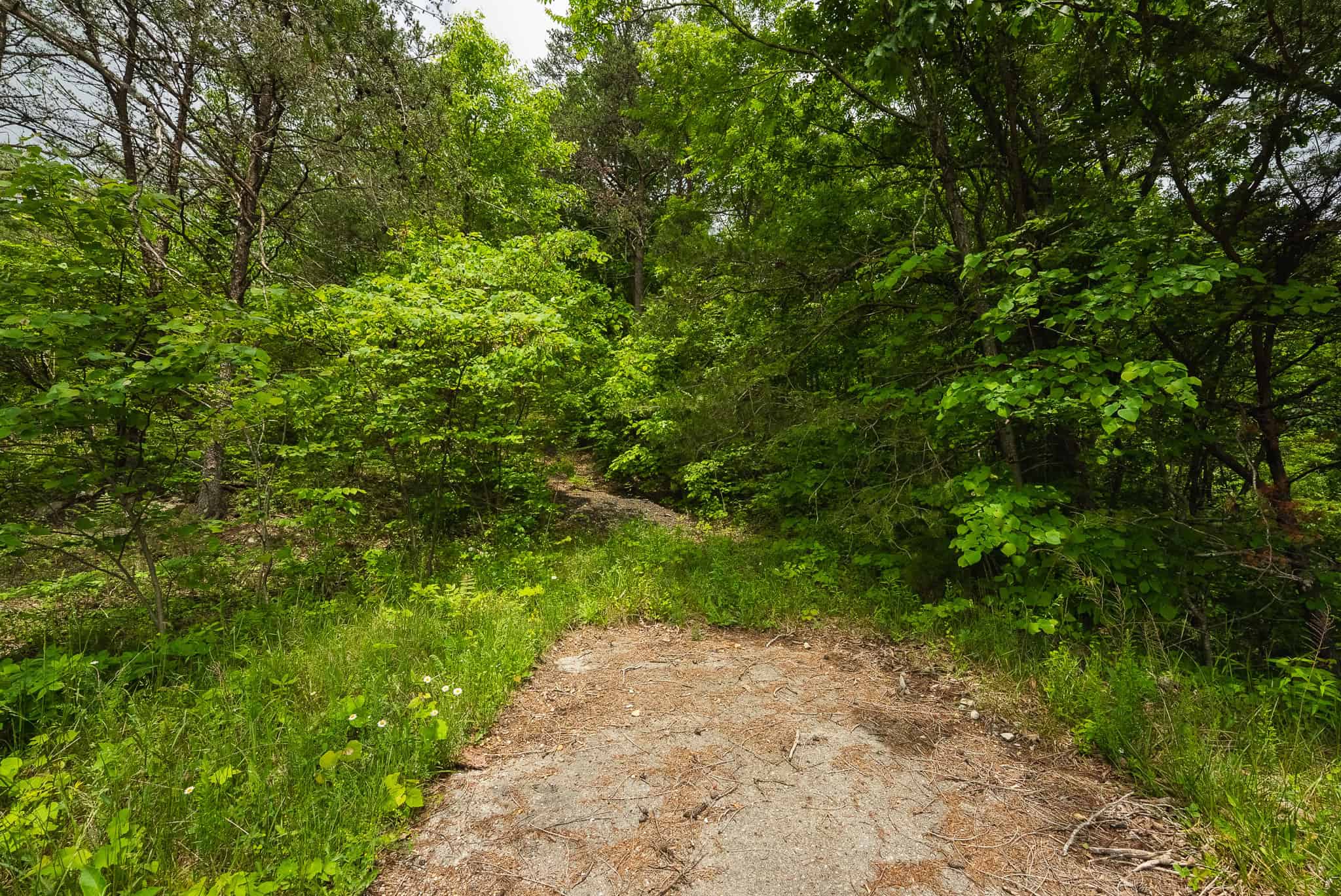Above the Clouds: 24 Unrestricted Acres on Clinch Mountain with Views that Steal Your Breath Tennessee