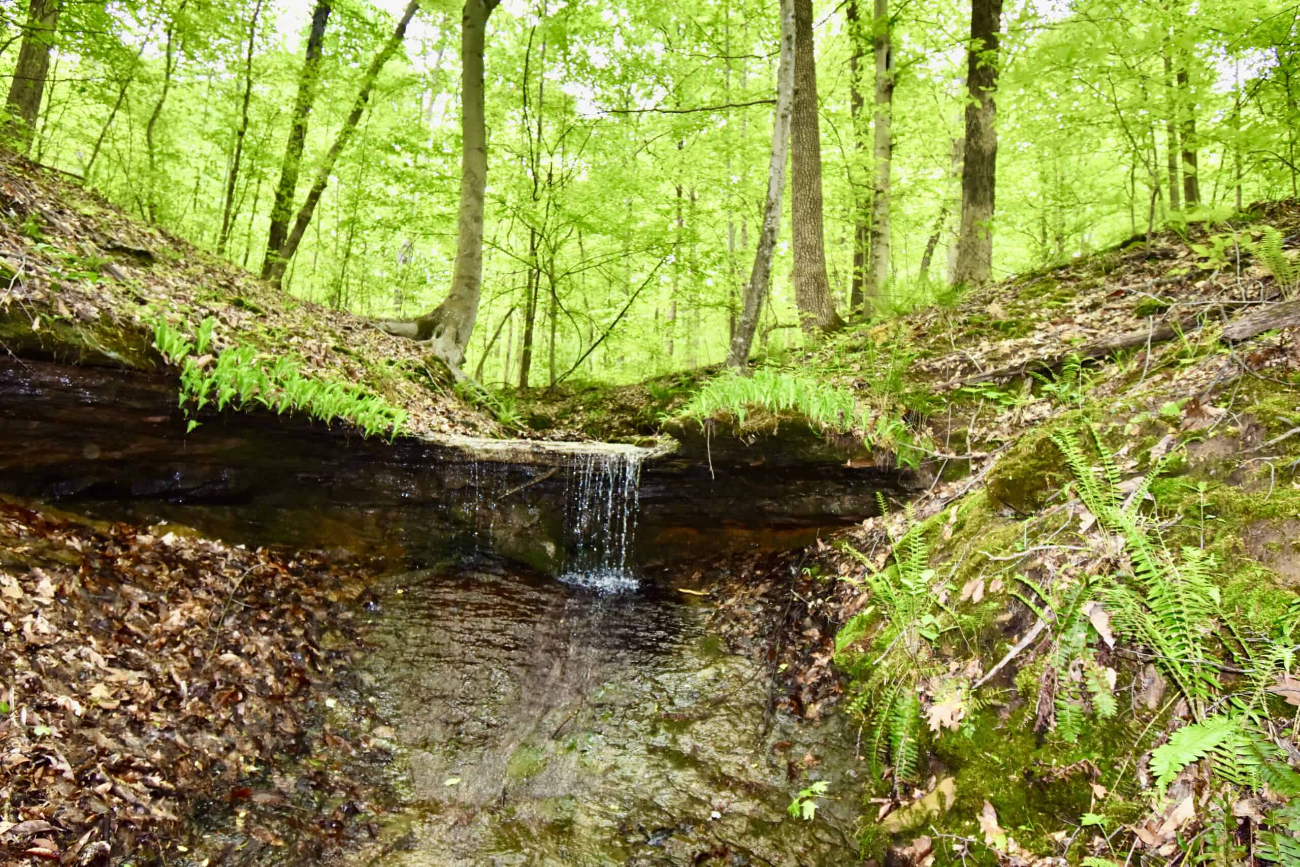 Crawford County 40 Acres- Southern Indiana Real Estate