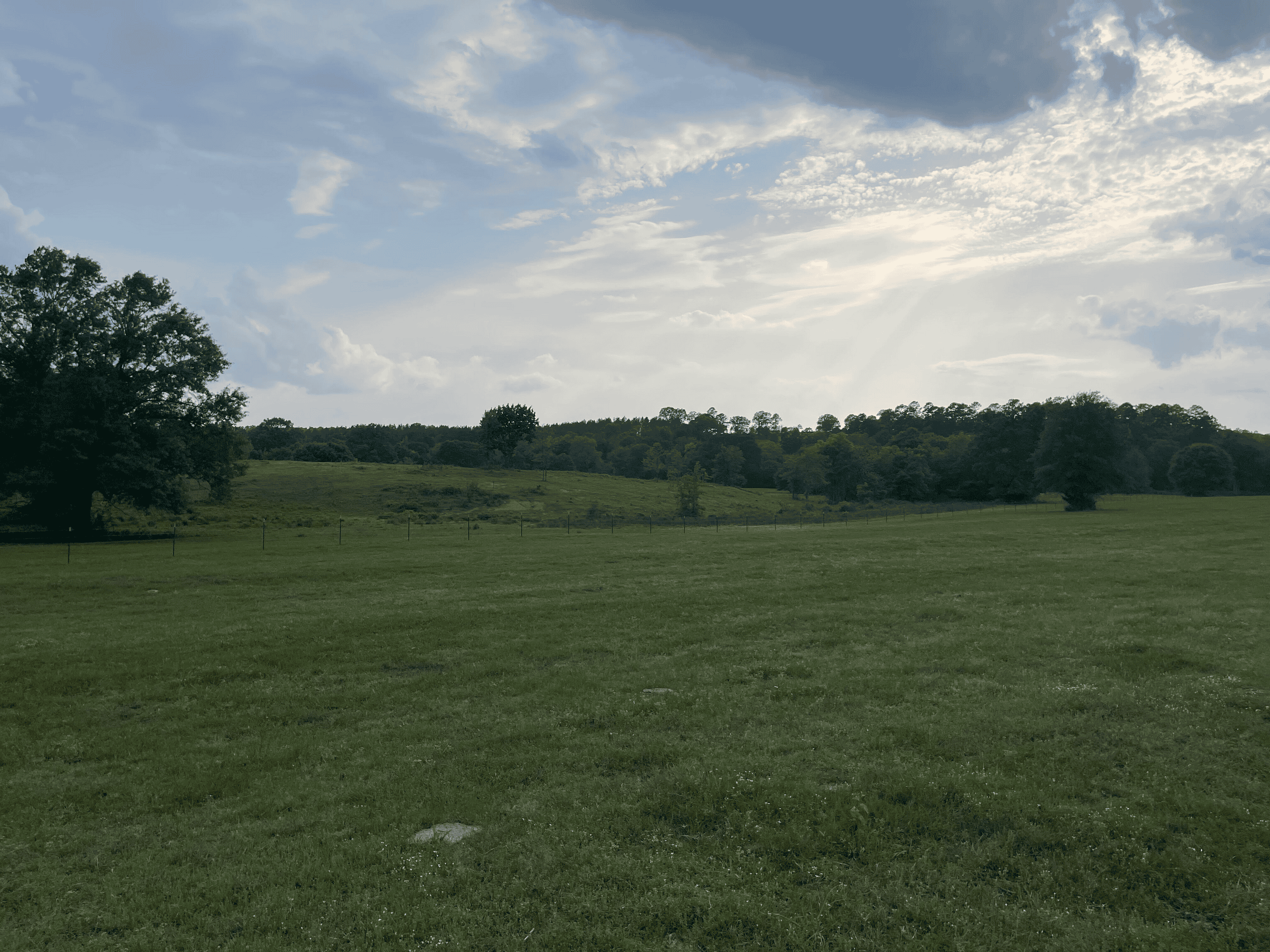 Secluded 100 Acre Mol Ranch in McCurtain County OK