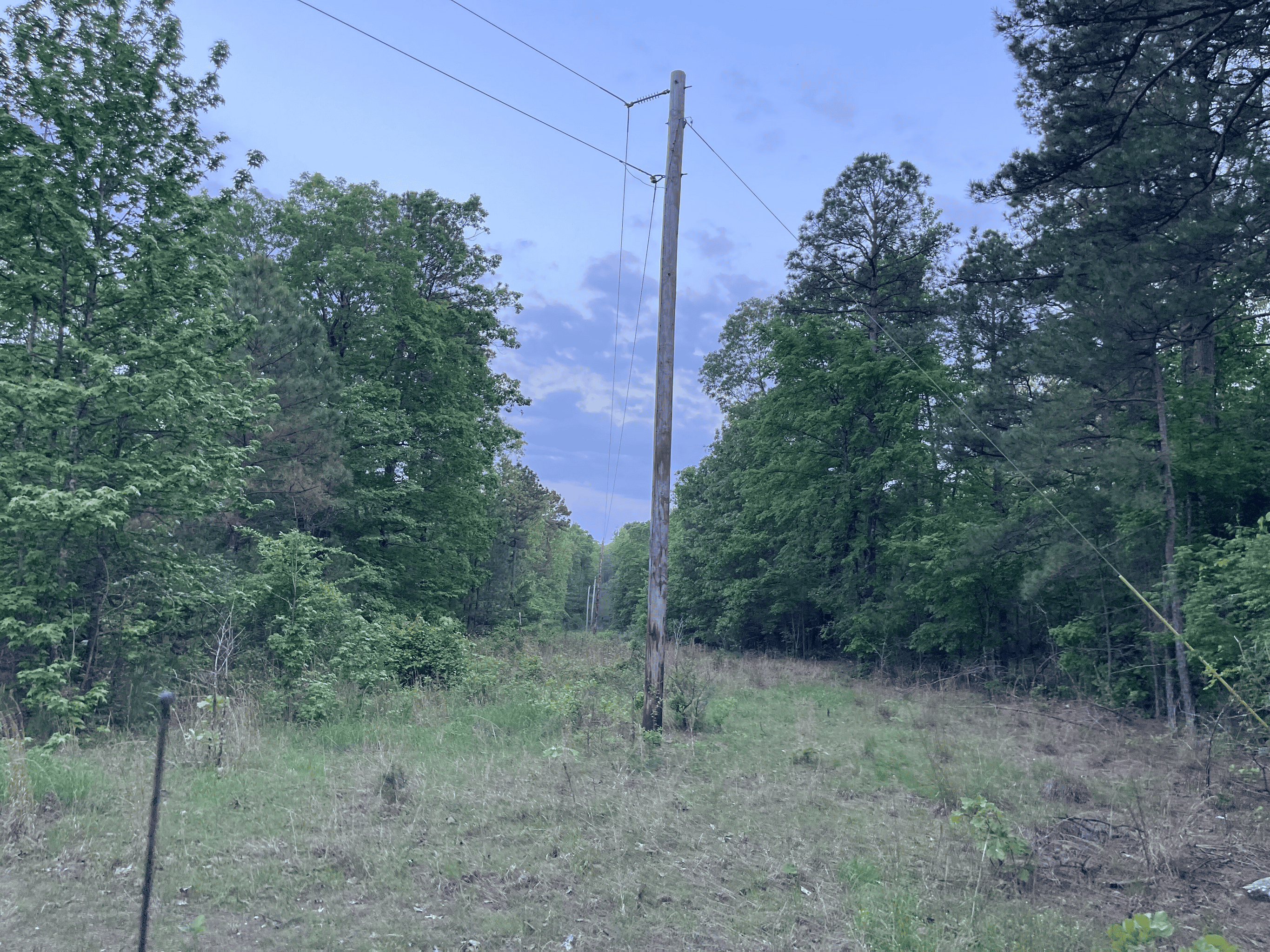 40 acres mol located just off of Wild Horse Trail in McCurtain, County, OK