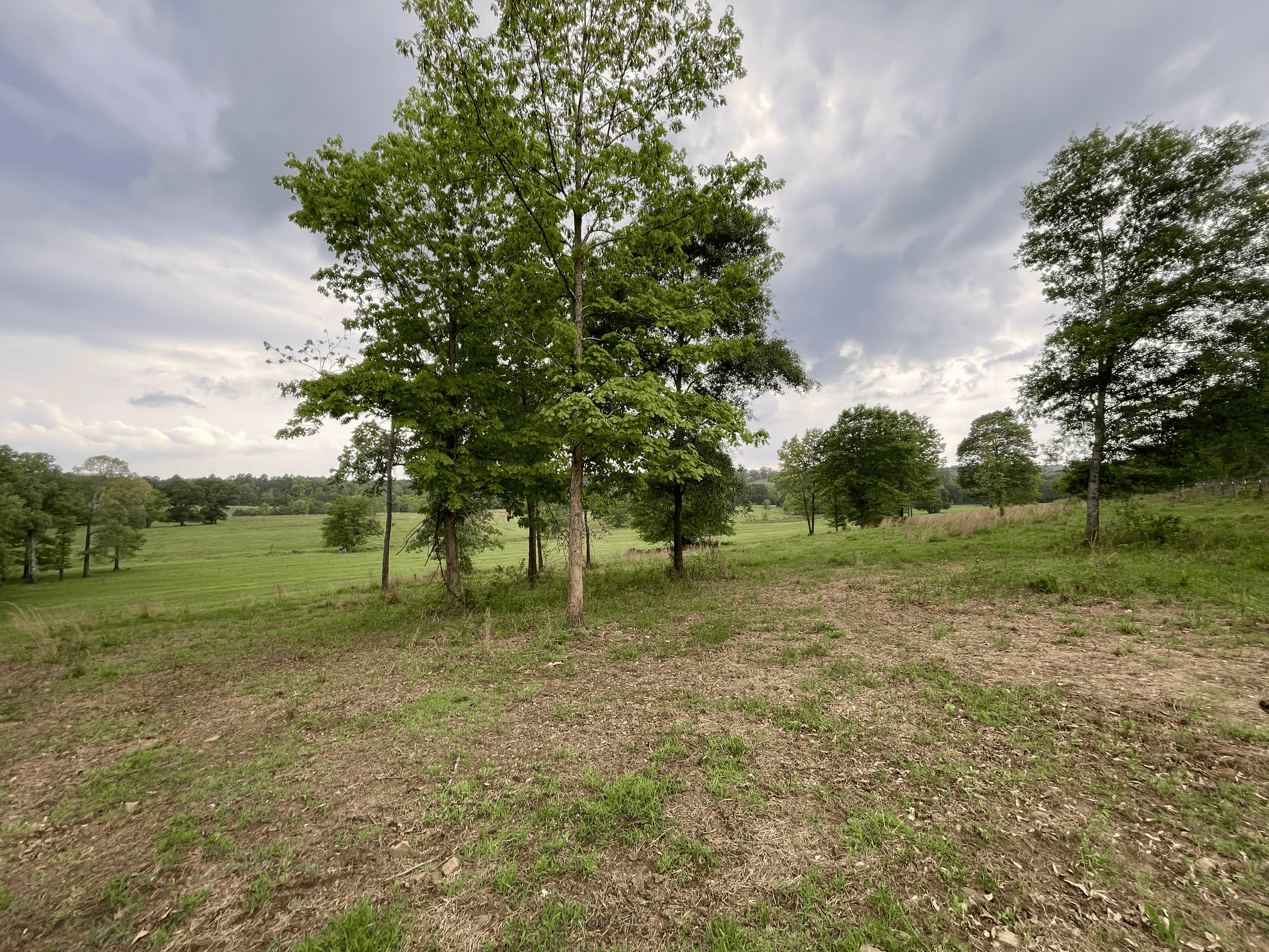 Secluded 100 Acre Mol Ranch in McCurtain County OK