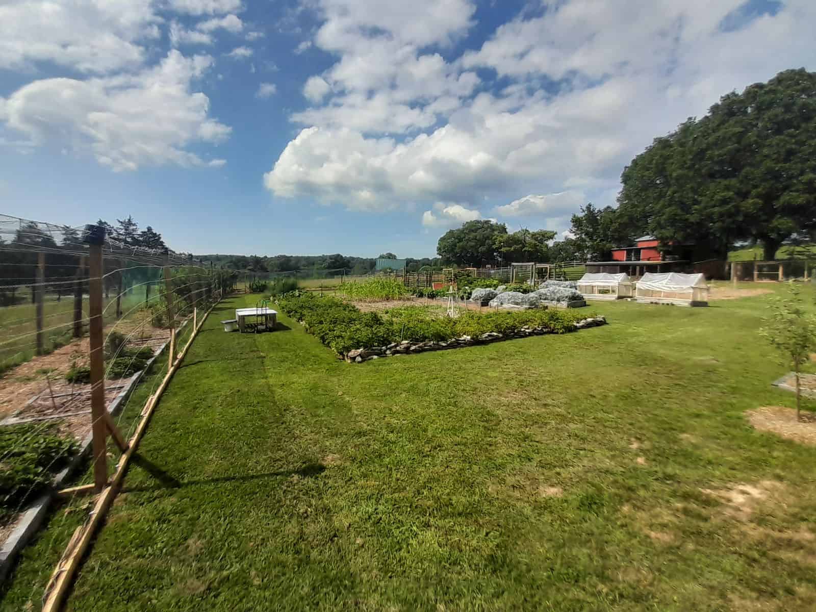 74 Acre Homesteaders paradise