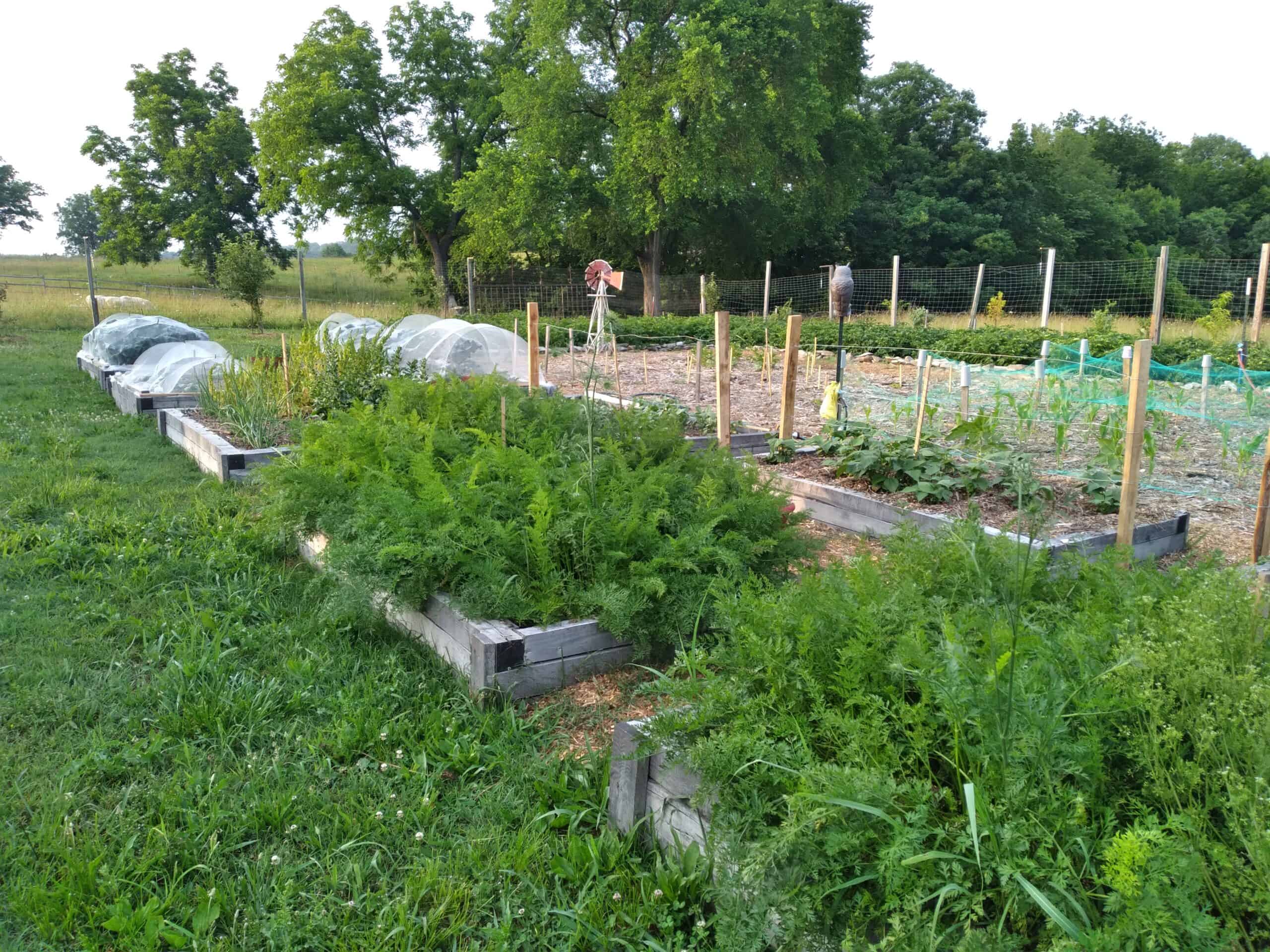 74 Acre Homesteaders paradise