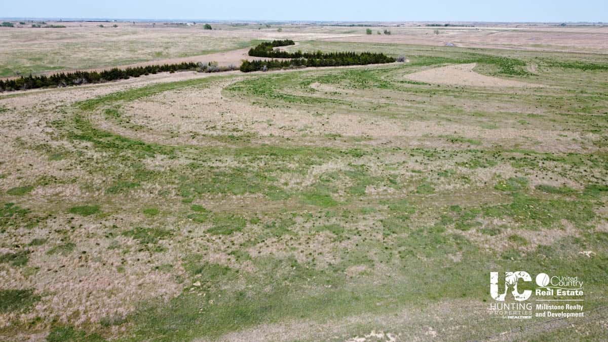Graham County, Kansas Recreational Hunting / CRP Land For Sale