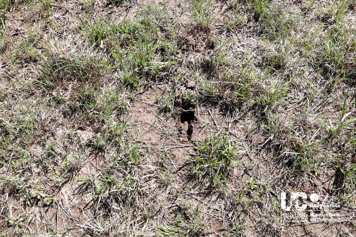 Graham County, Kansas Recreational Hunting / CRP Land For Sale