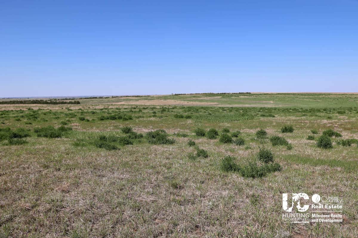 Graham County, Kansas Recreational Hunting / CRP Land For Sale