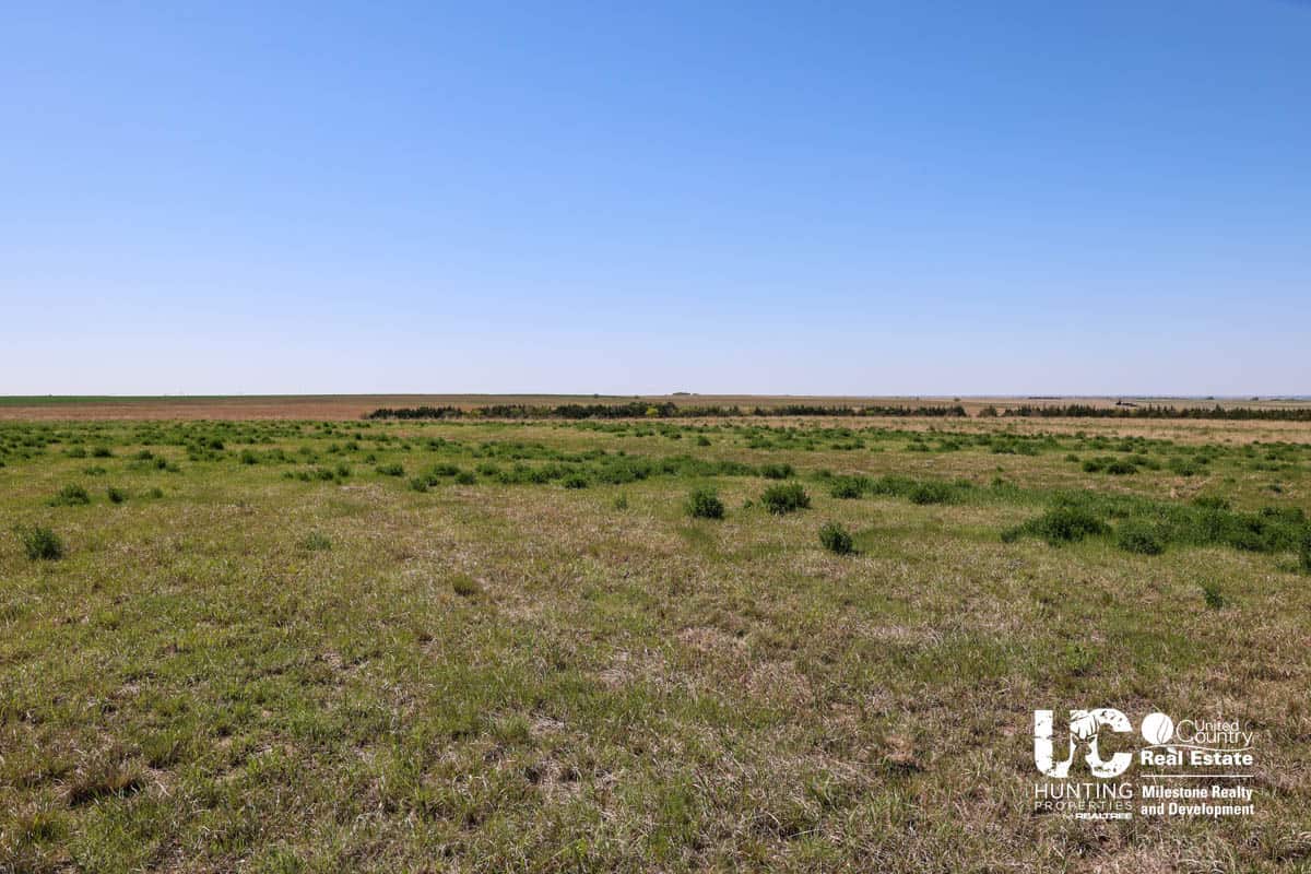Graham County, Kansas Recreational Hunting / CRP Land For Sale