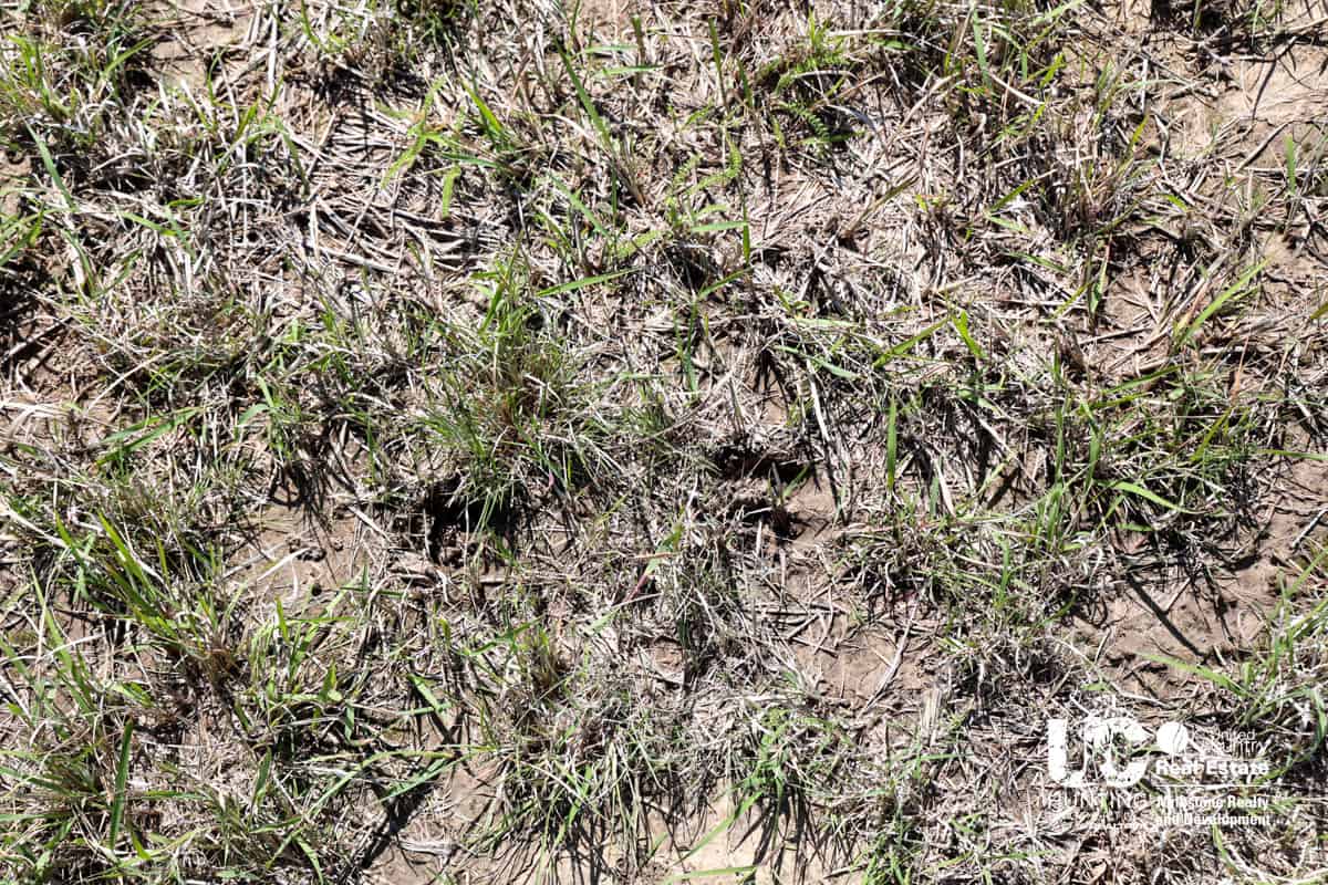 Graham County, Kansas Recreational Hunting / CRP Land For Sale