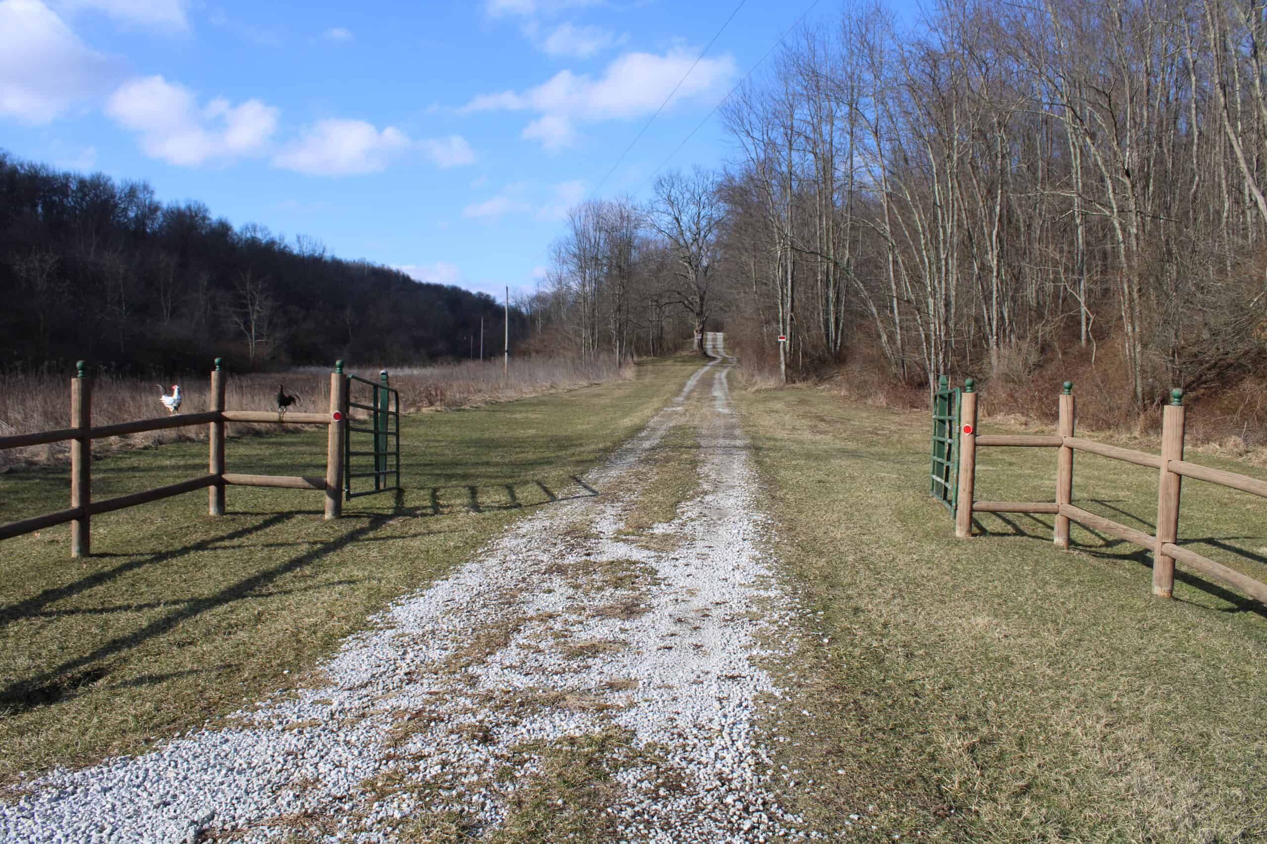 Harrison County, OH 151 +/- Acres Hunting Land with cabin & buildings