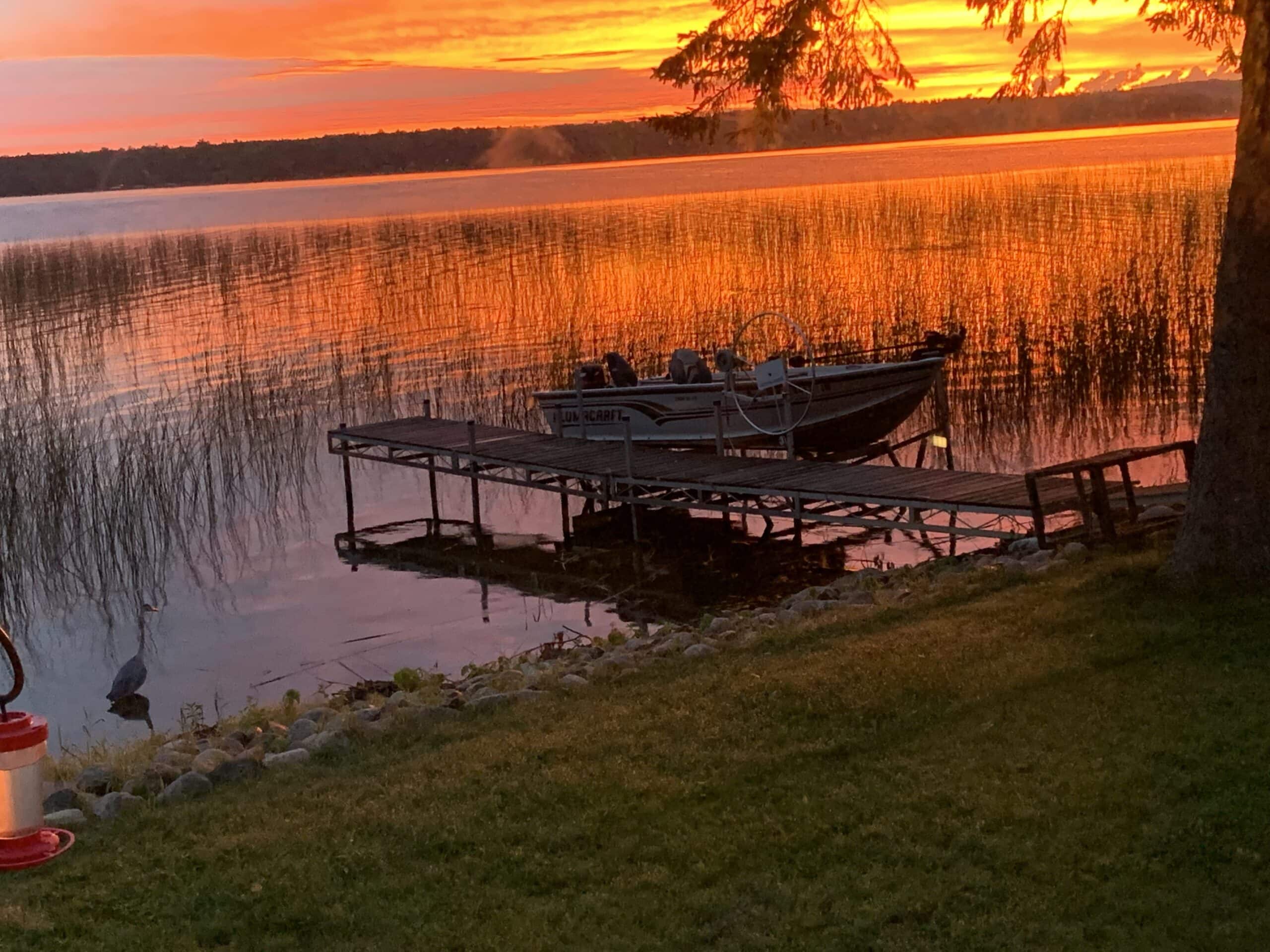 MN Lakefront Cabin and Land Auction
