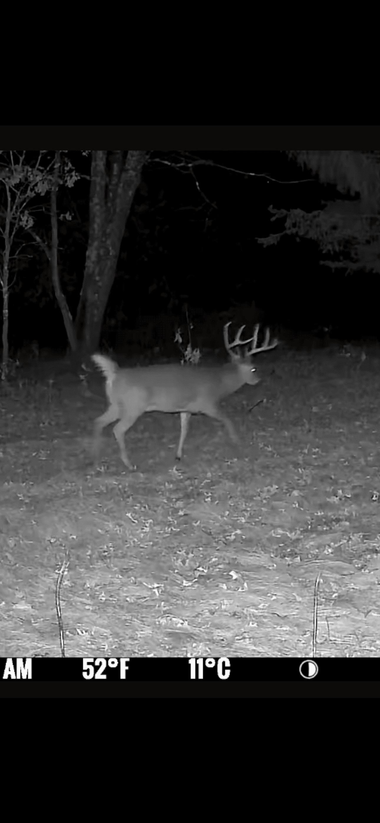 20.41 Acre Sportsman Paradise Juneau County WI