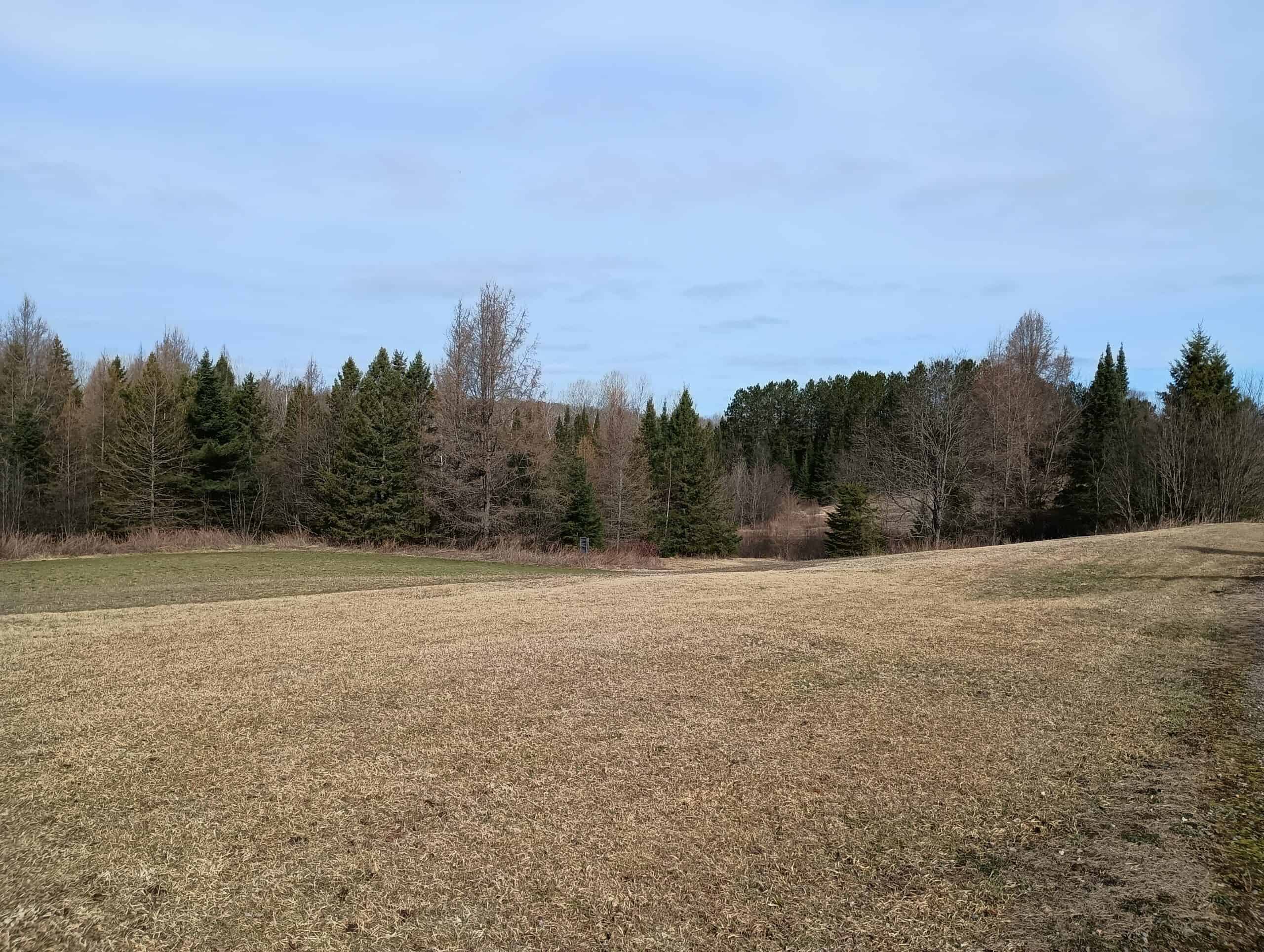 Country Home with Acreage for Sale in Butternut, Wisconsin