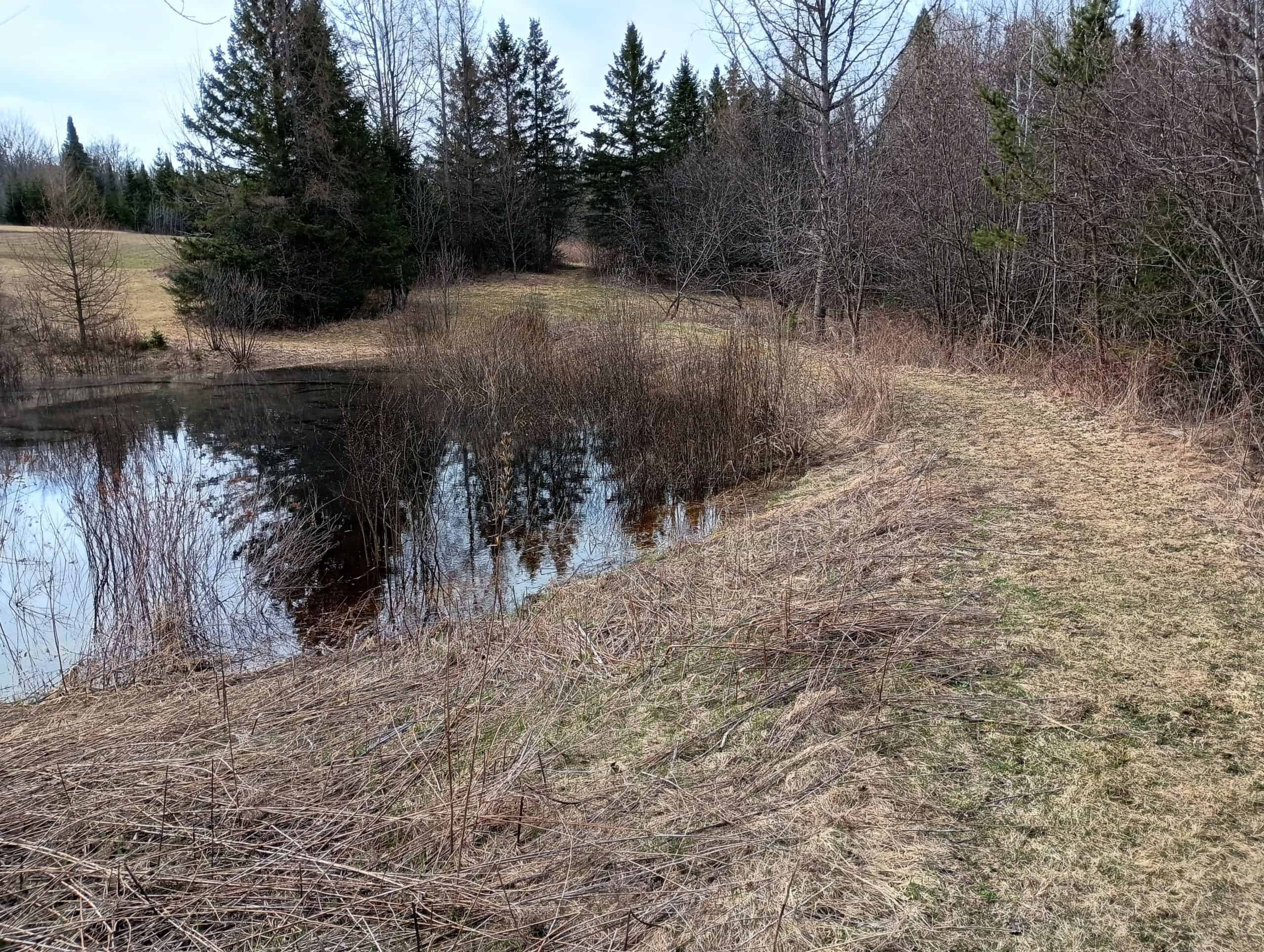 Country Home with Acreage for Sale in Butternut, Wisconsin